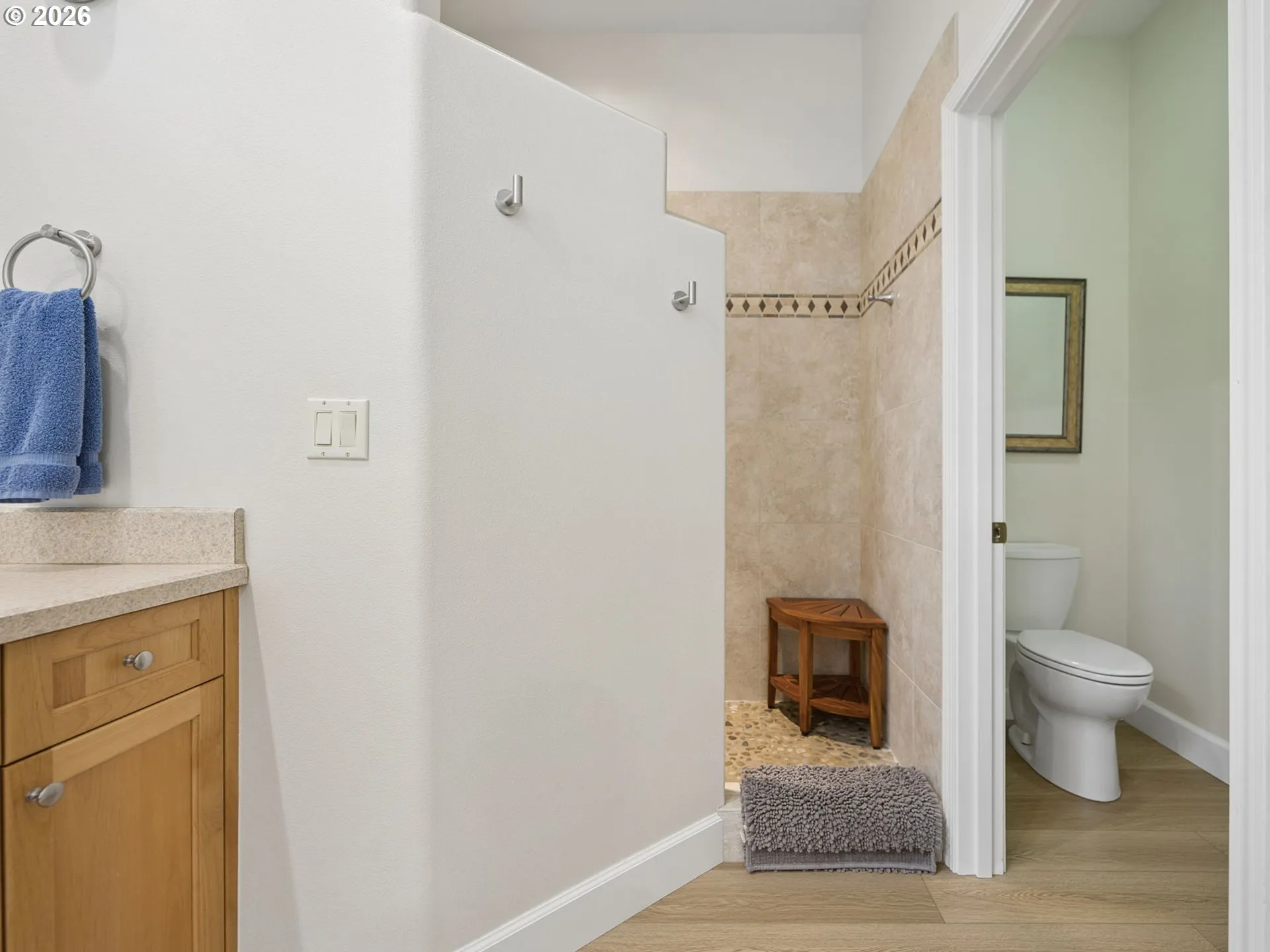 Owner's Suite Bathroom-Walk in Shower