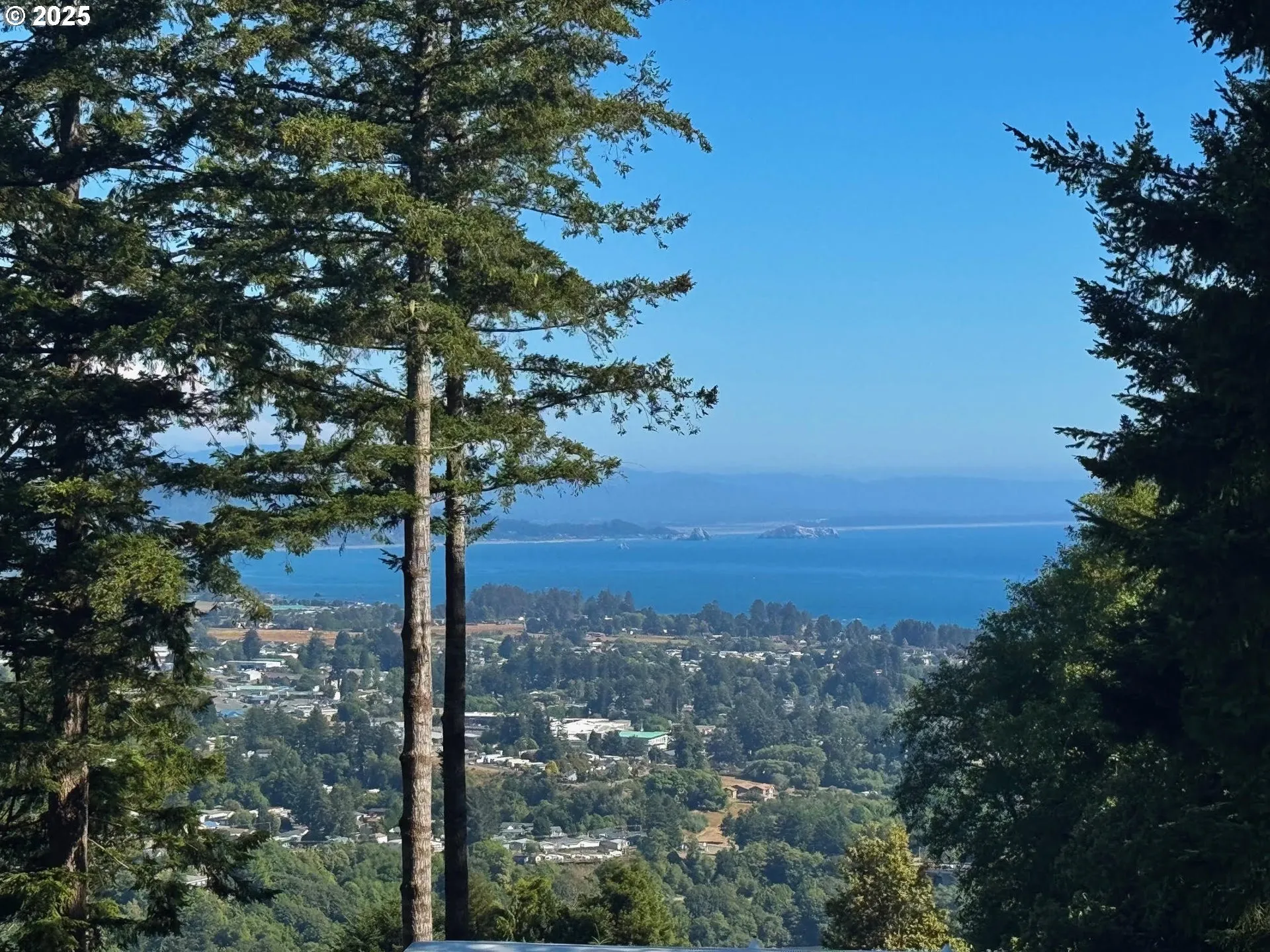 View-Beach/Ocean