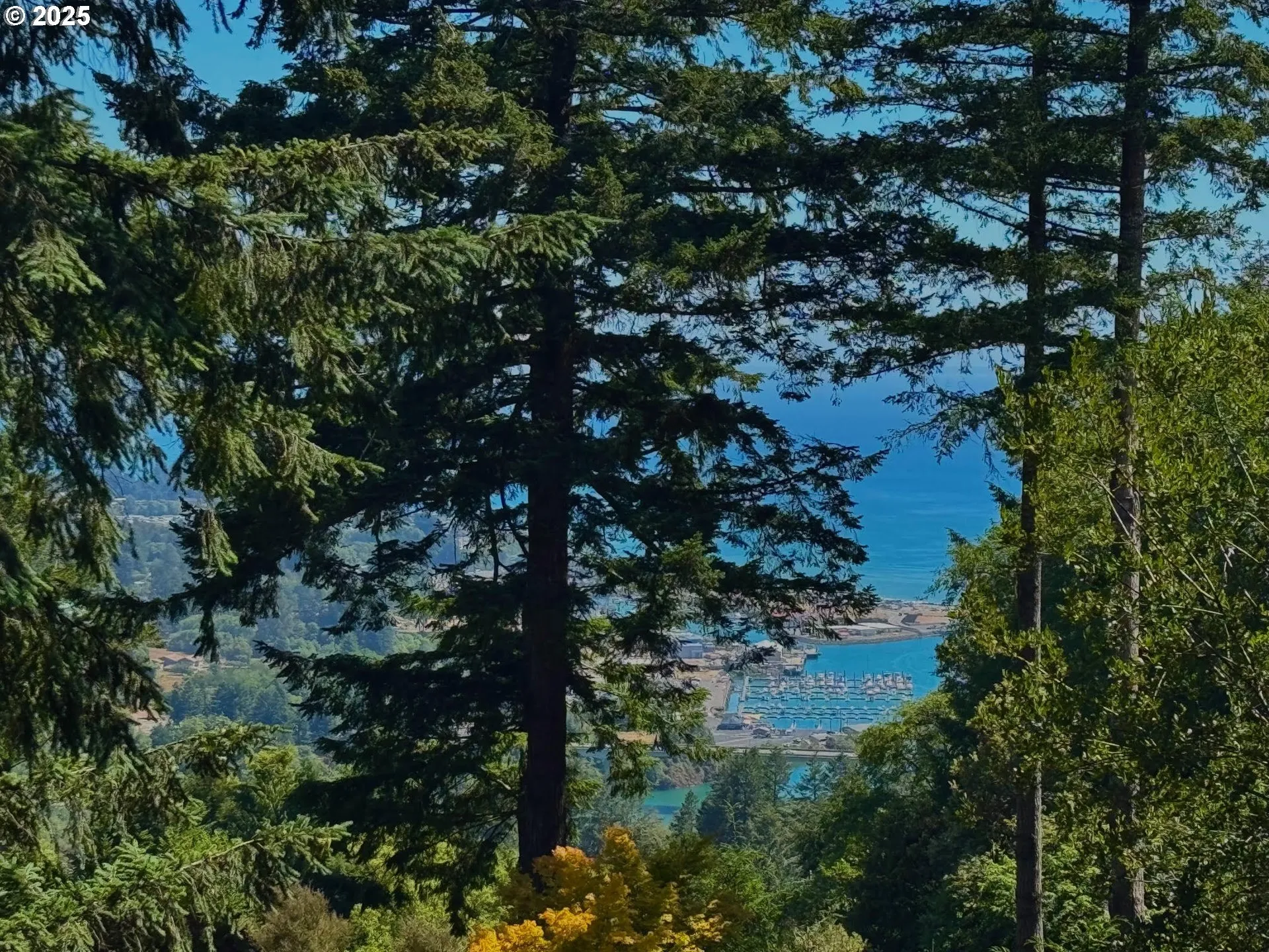 View-Beach/Ocean