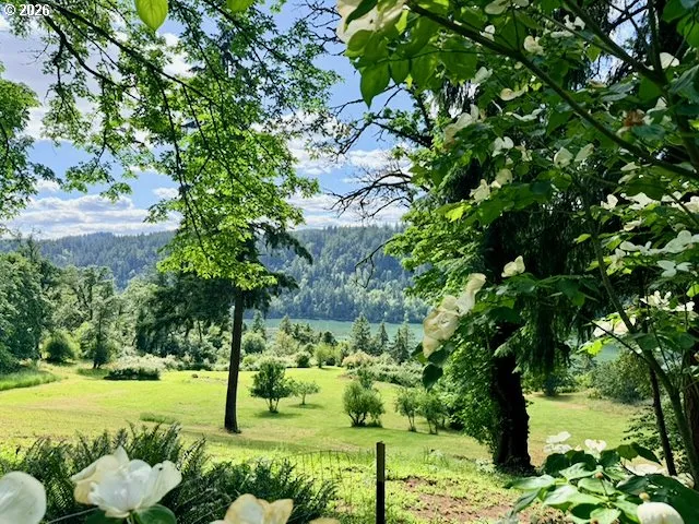 View-River