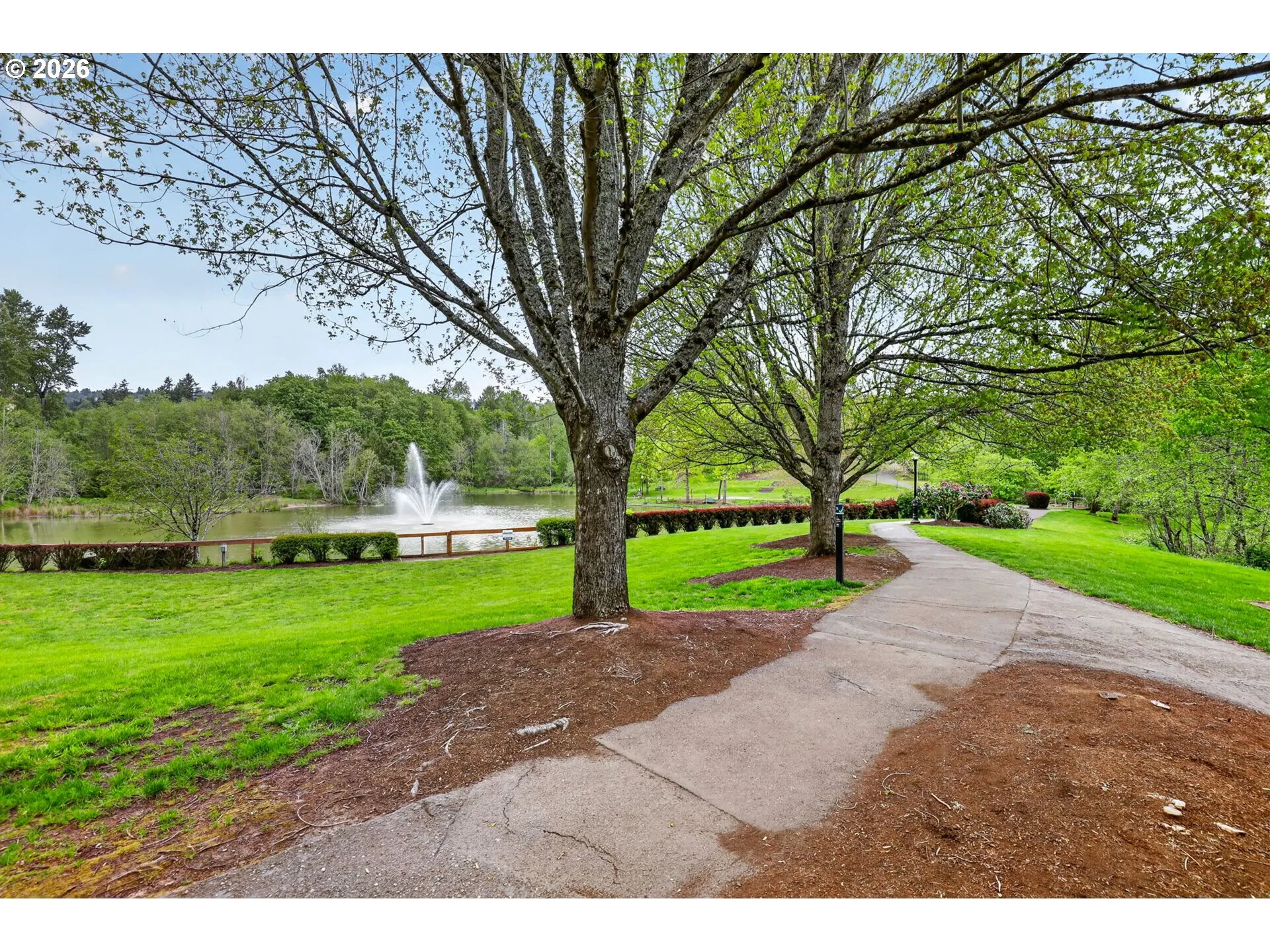 Community Park