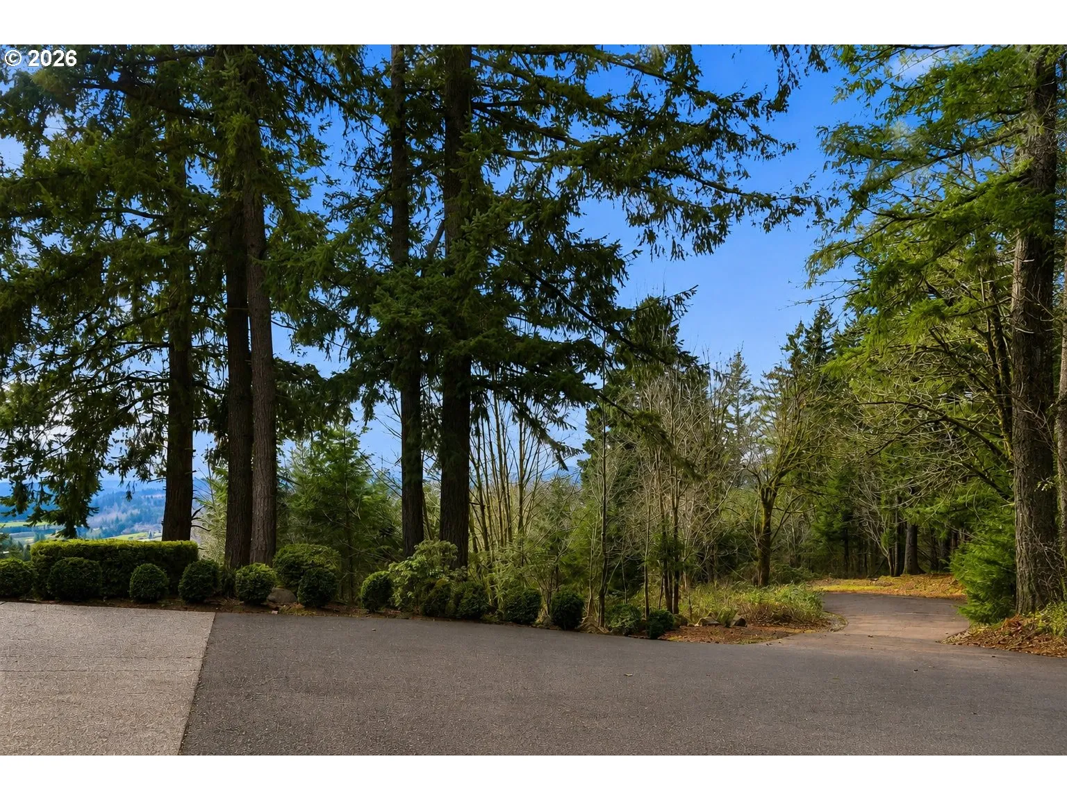 Driveway