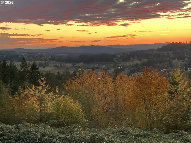 View-Valley
