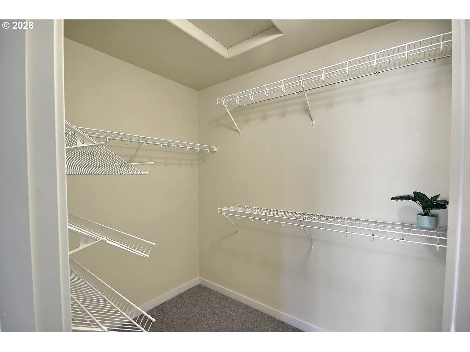 Bedroom-Walk-In Closet