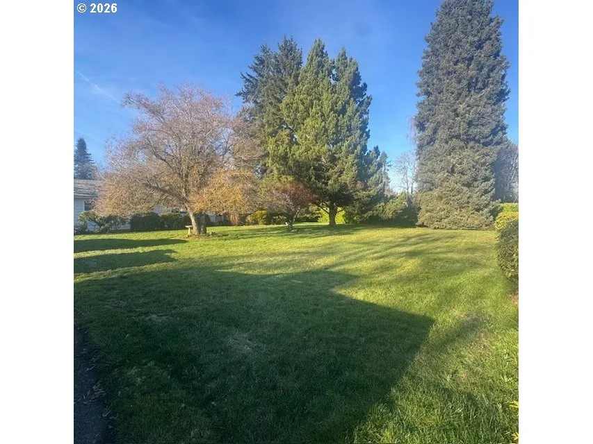 Front Yard