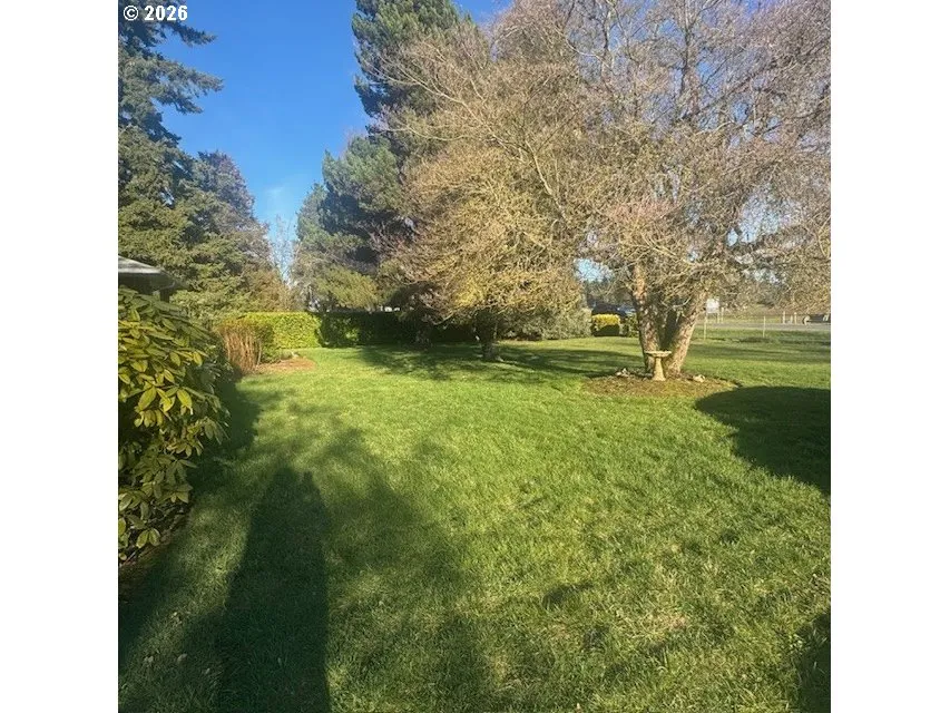 Front Yard