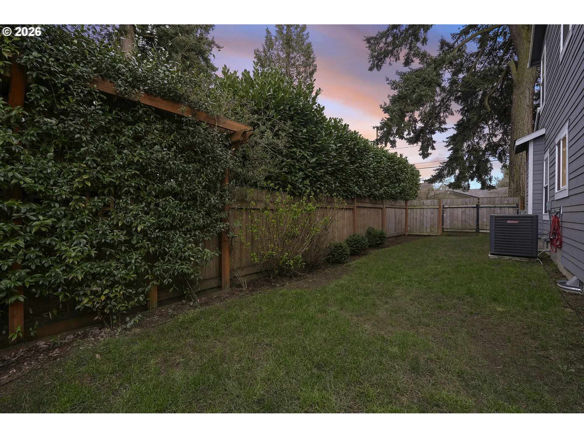 Backyard-Fenced