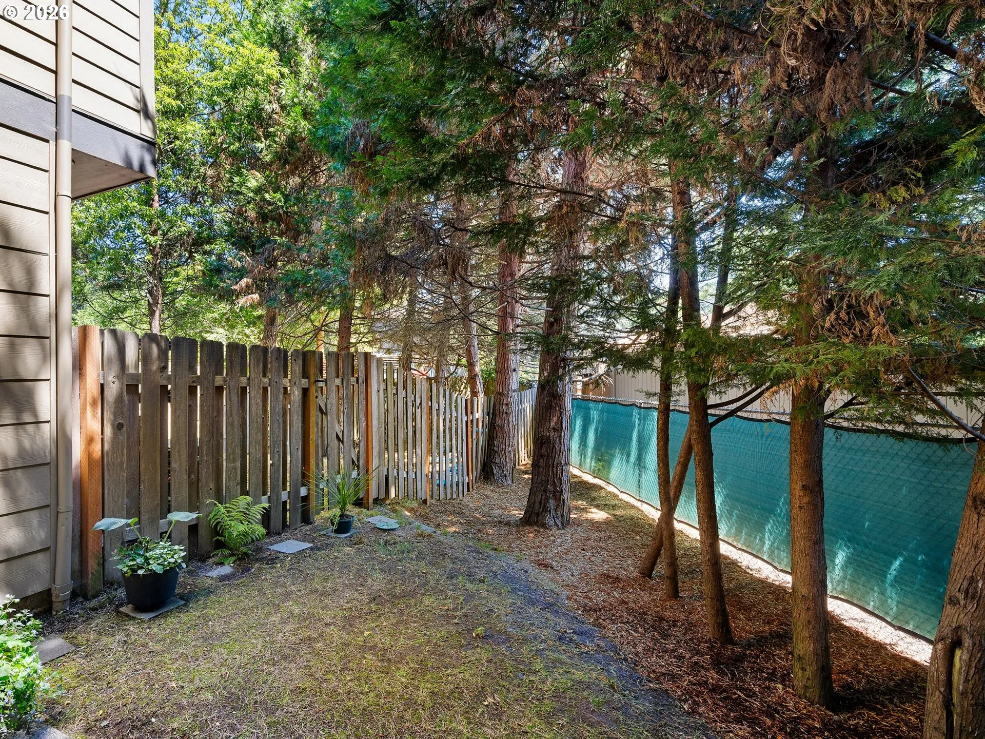 Backyard-Fenced