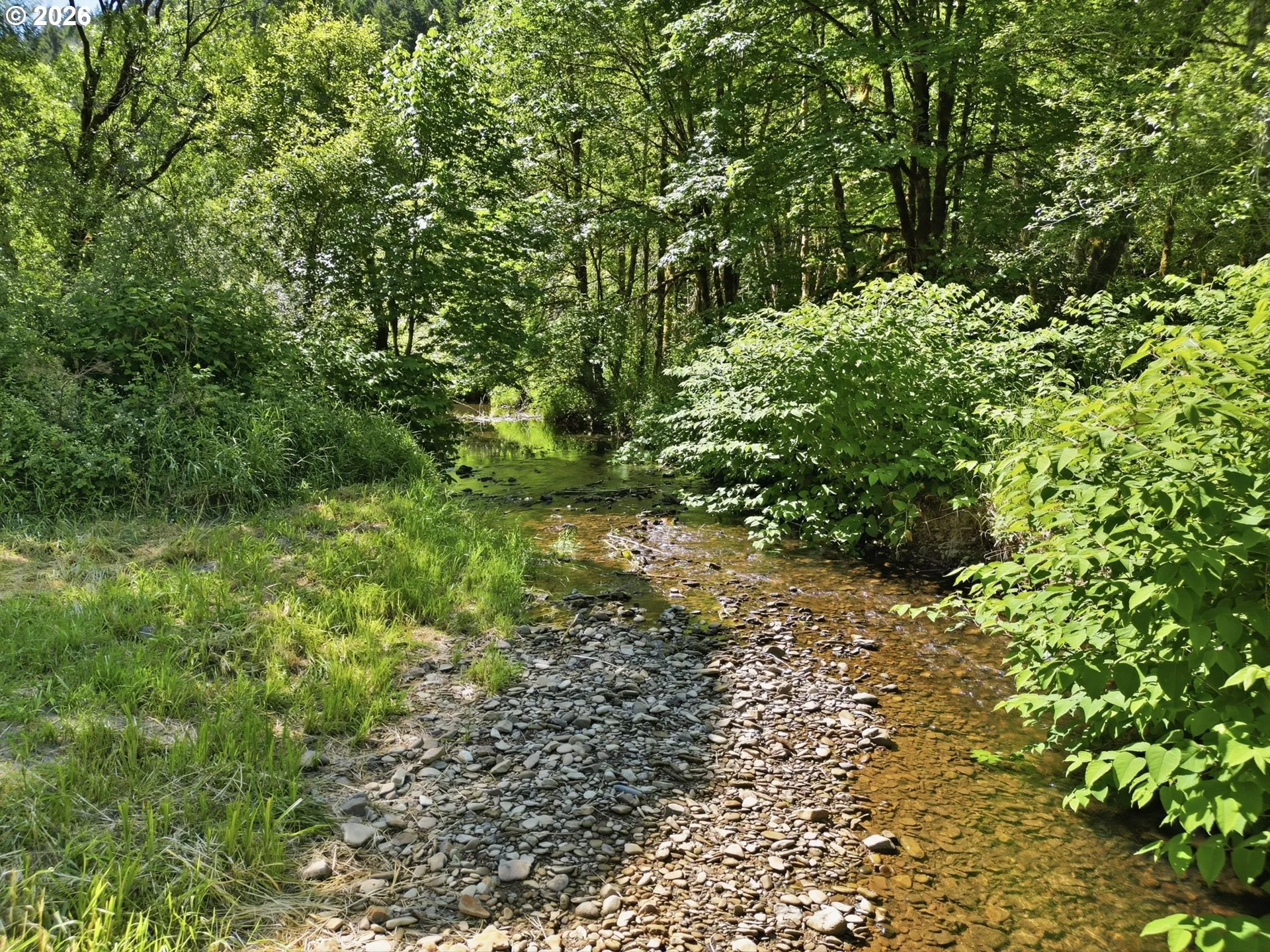 Creek-Year Round