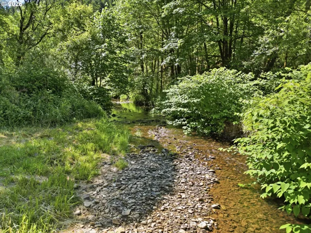 Creek-Year Round
