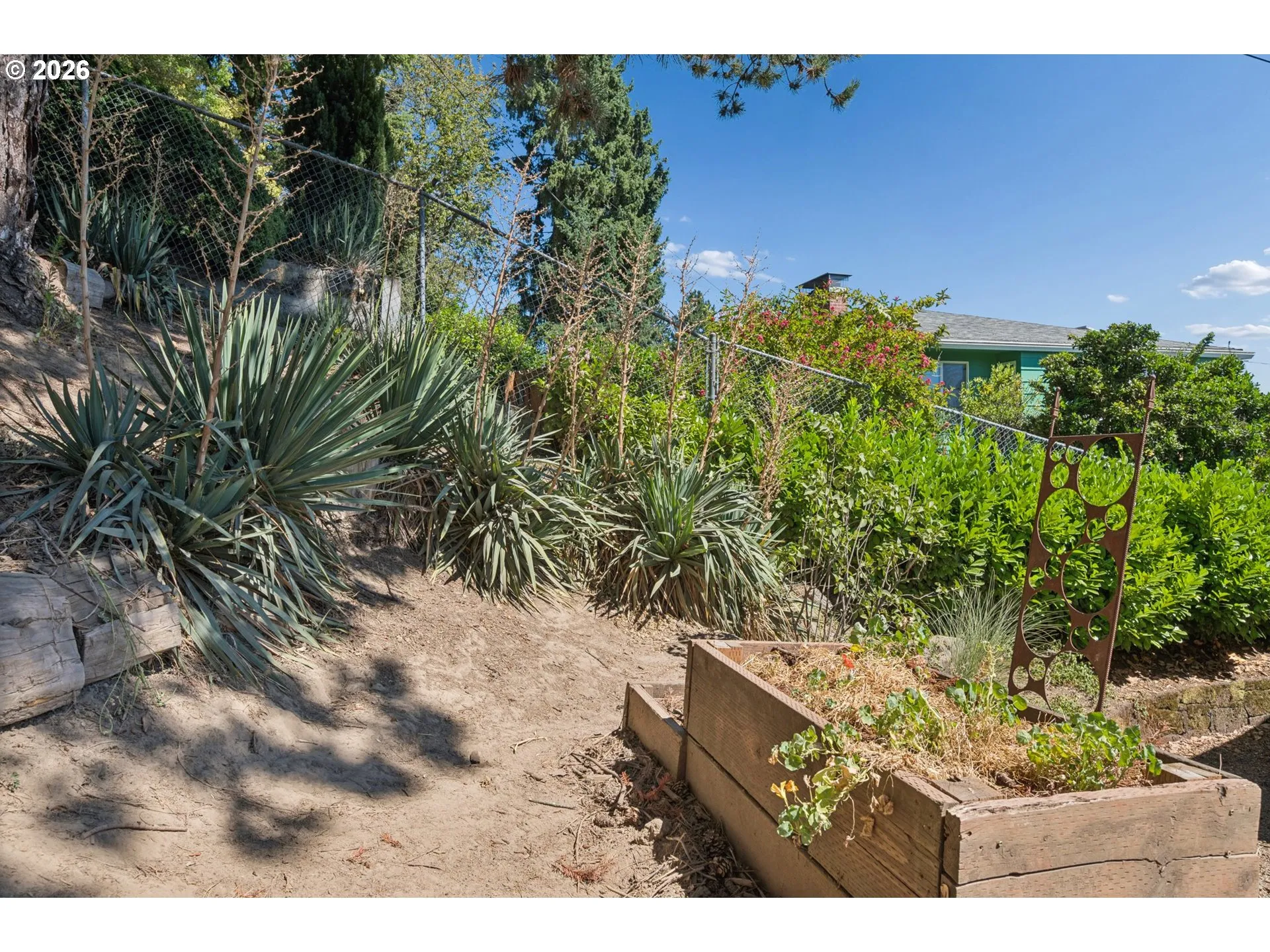 Backyard