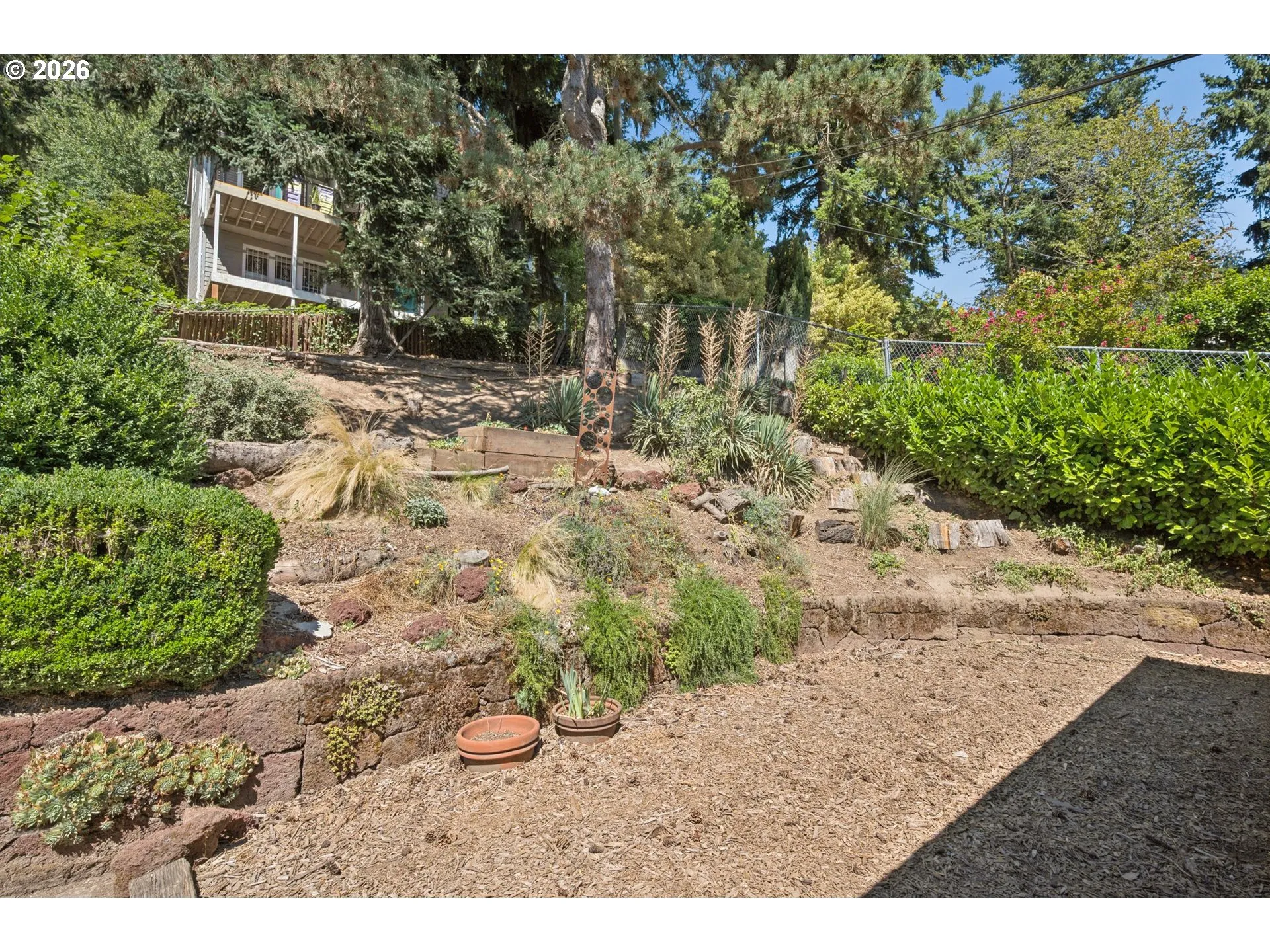 Backyard