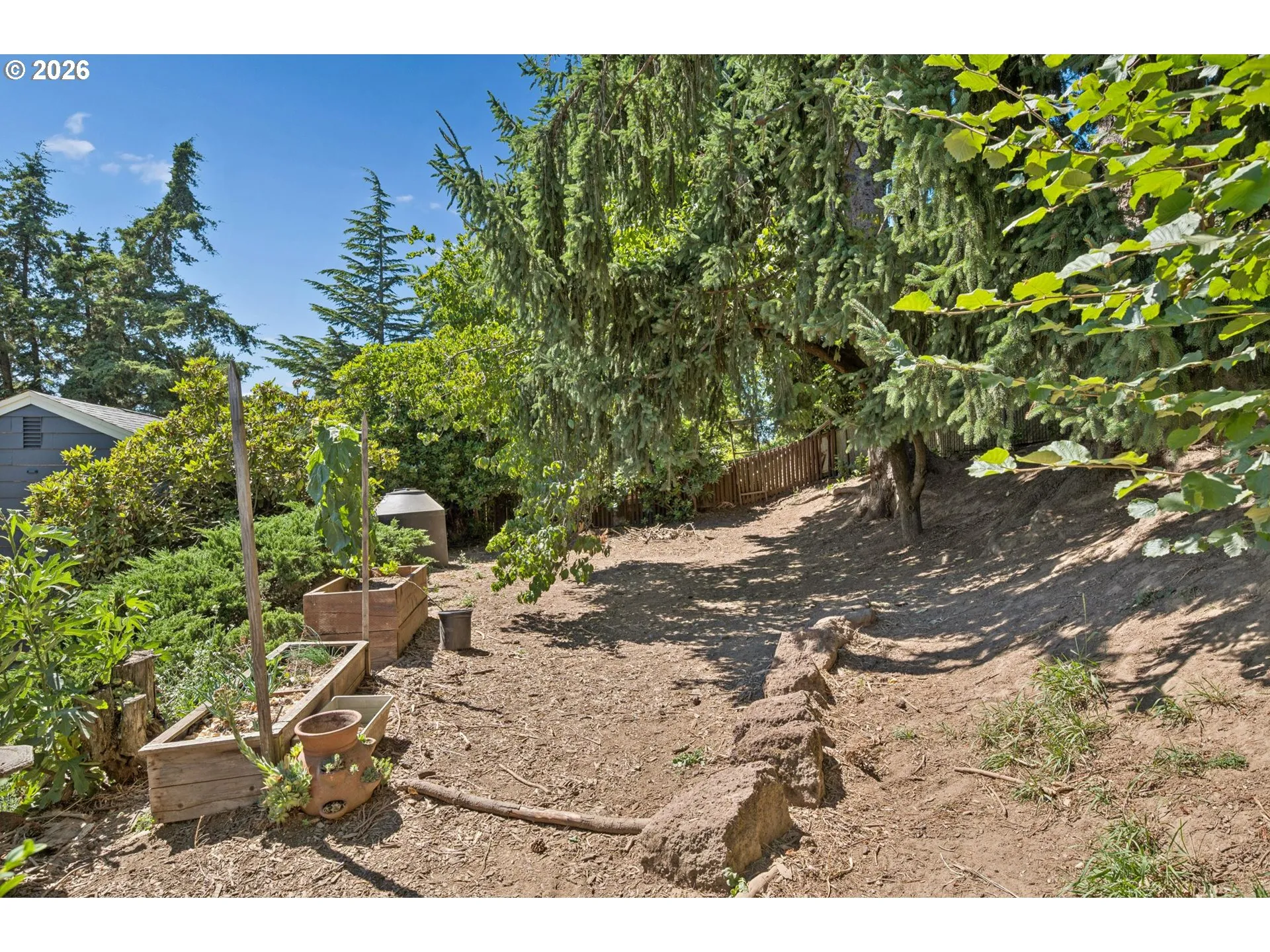 Backyard