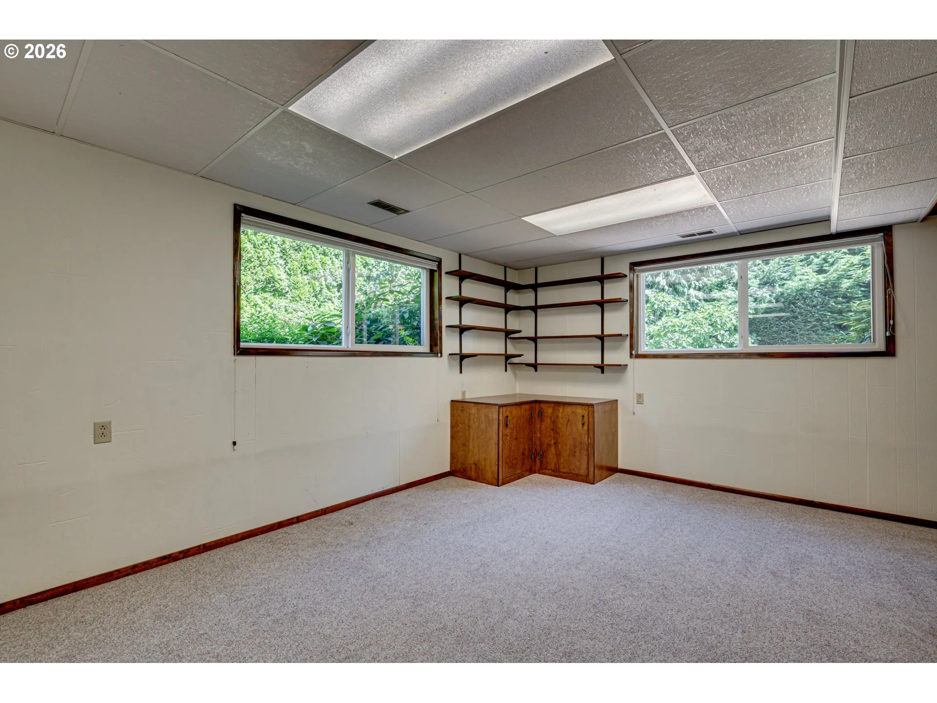 Basement-Finished