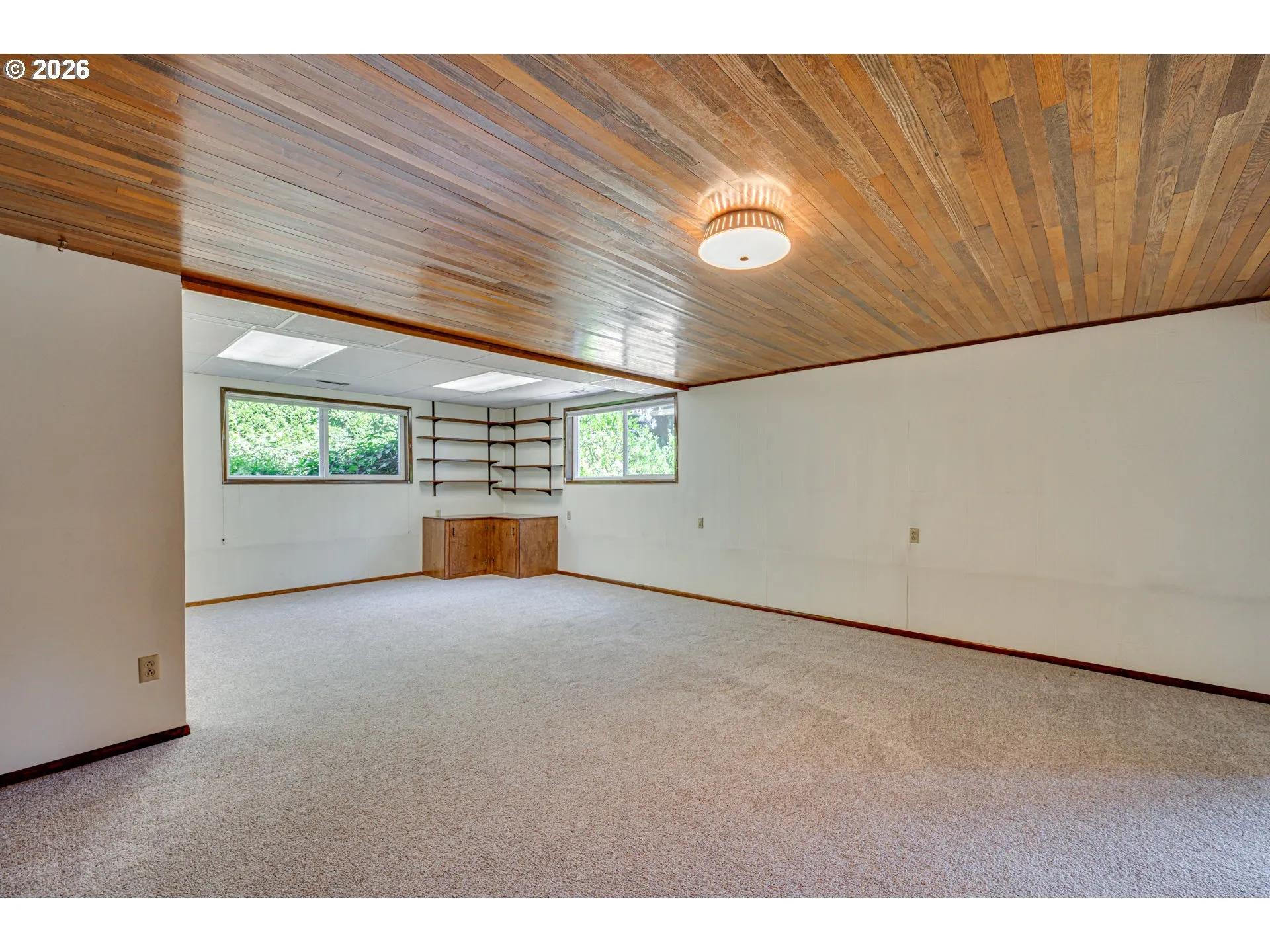 Basement-Finished