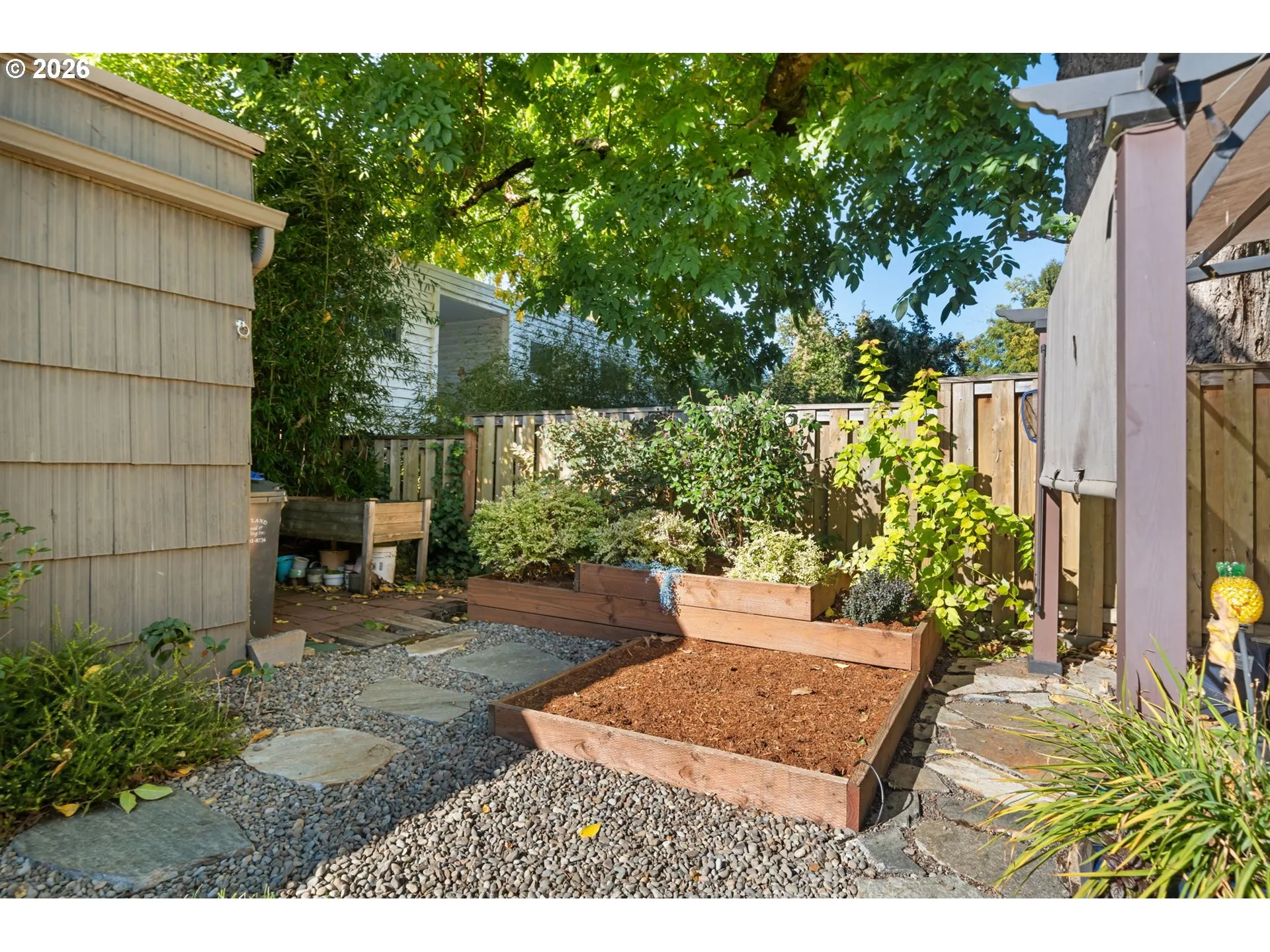 Backyard-# 3