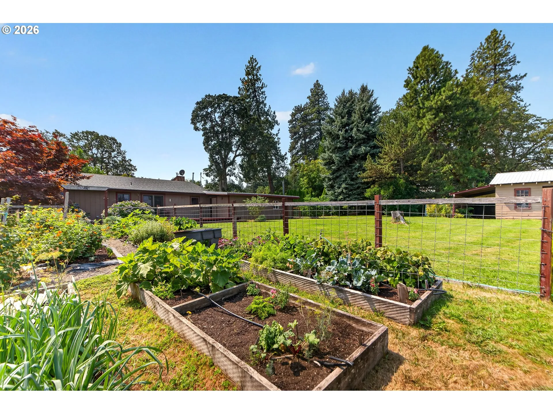 Garden