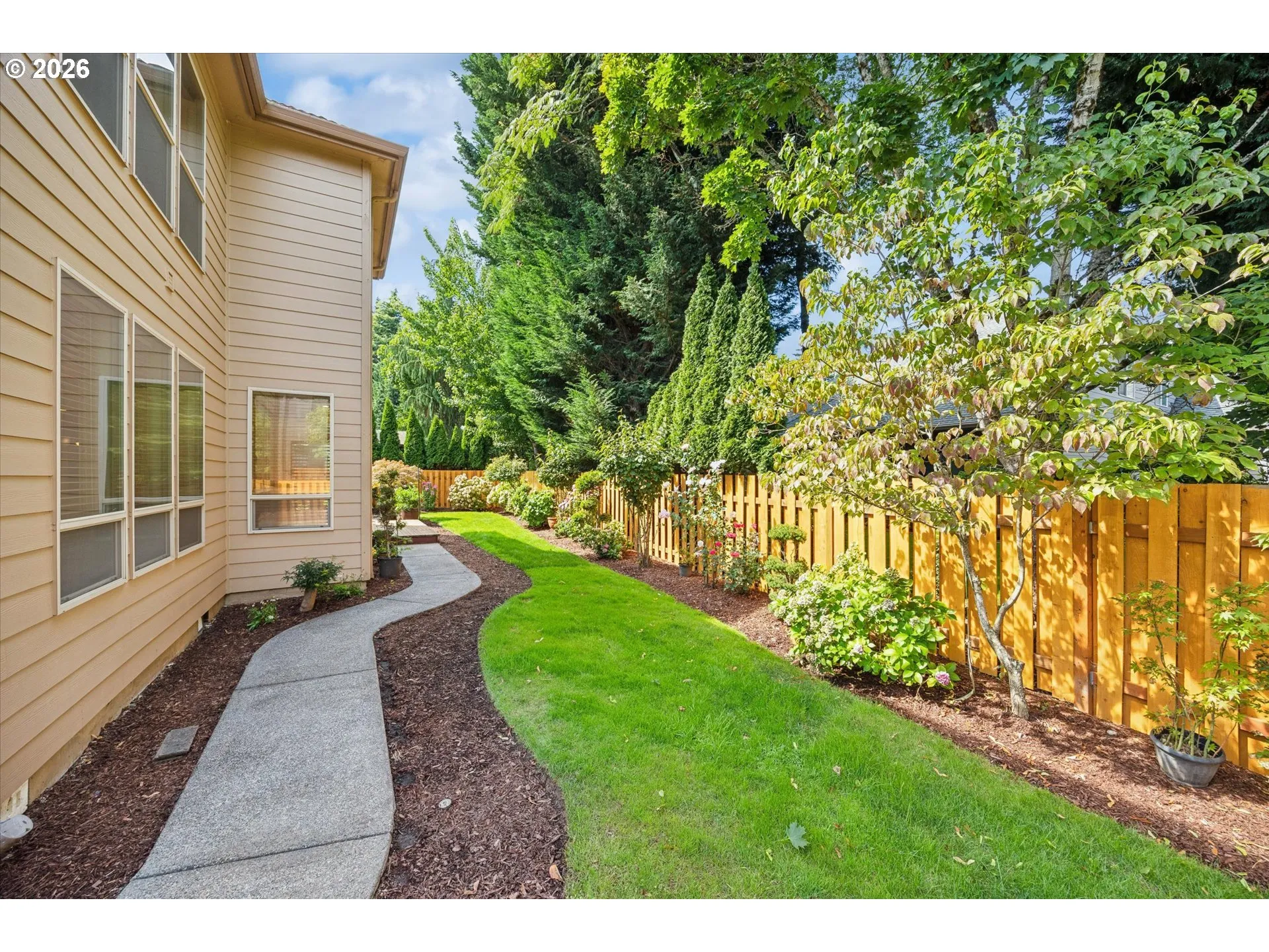 Backyard