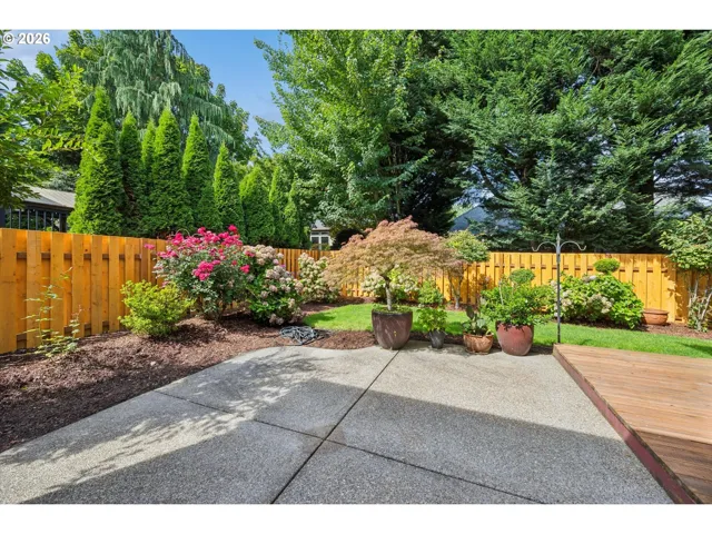 Patio-Backyard