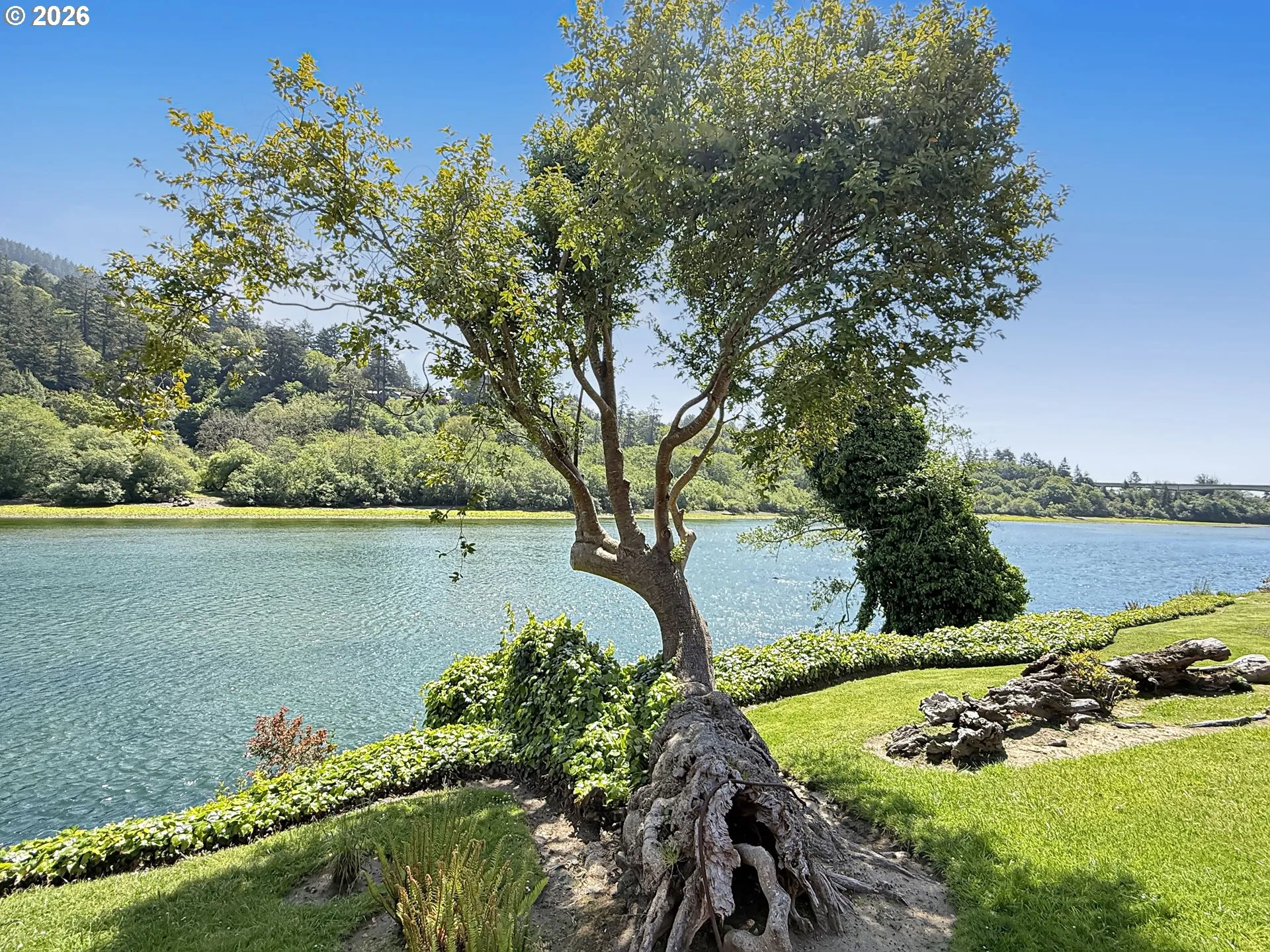 View-River