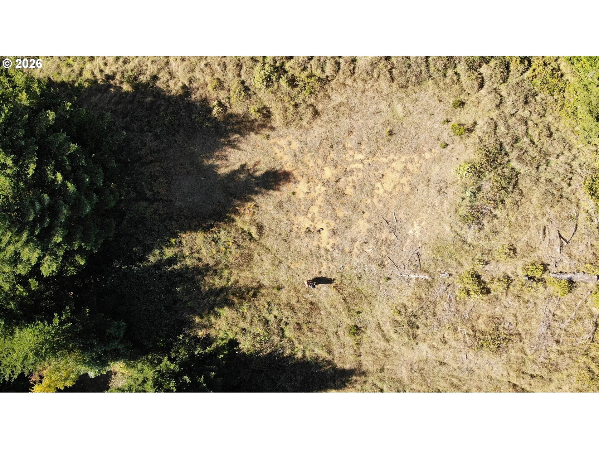 View-Wooded / Acreage