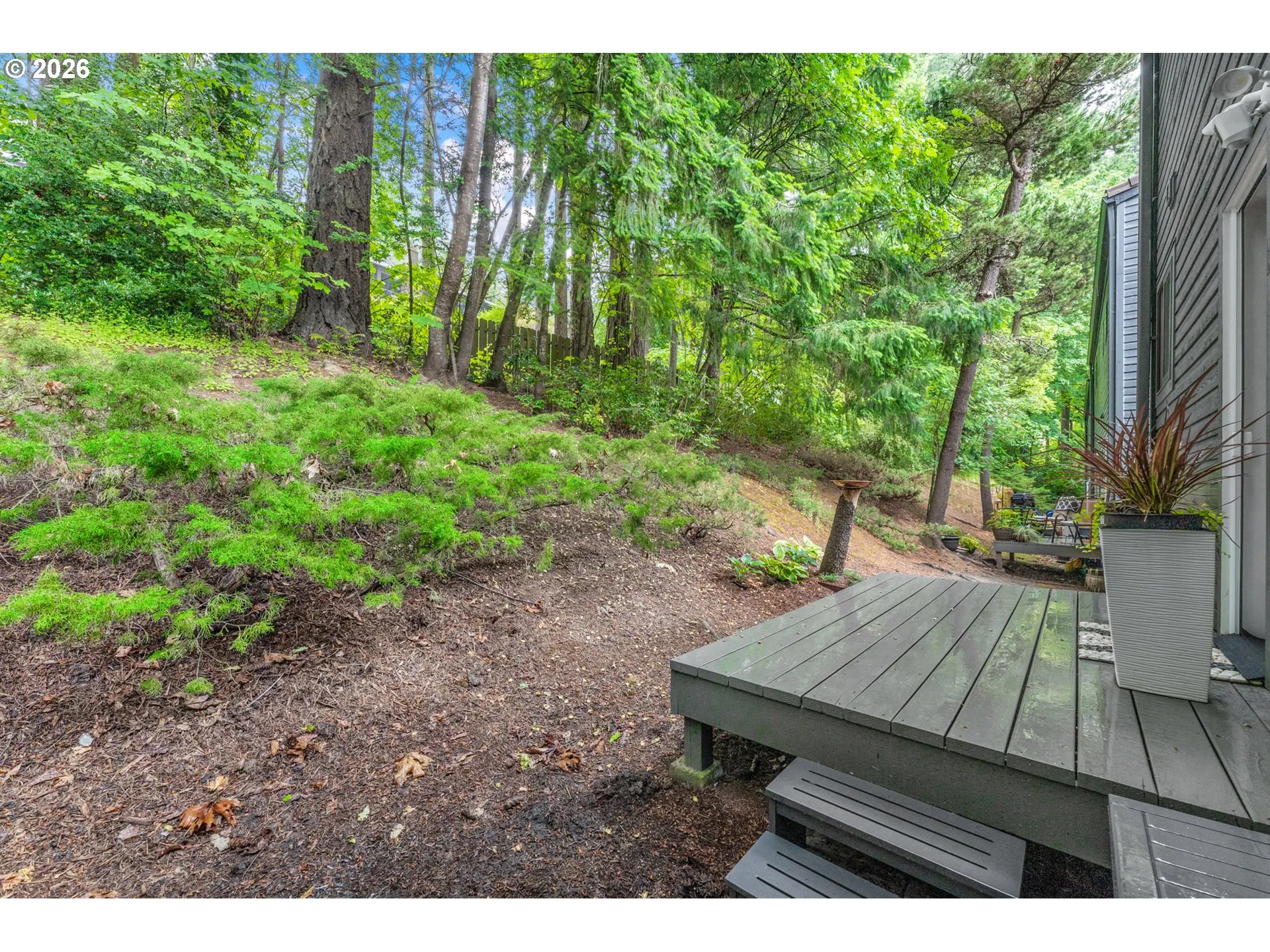 Deck-Main