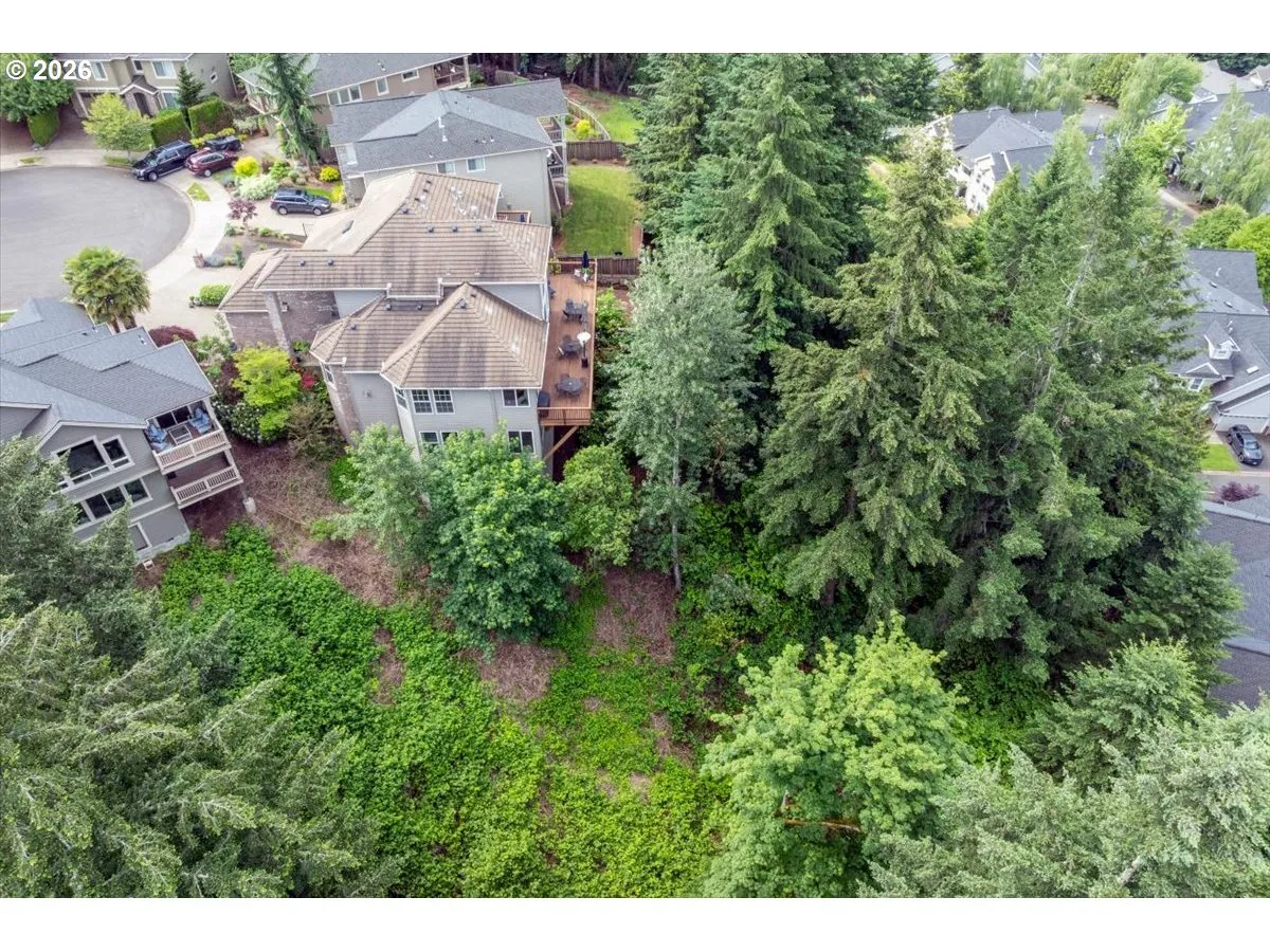Drone View/UAV