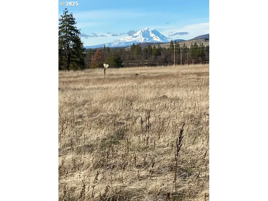 View-Mountain