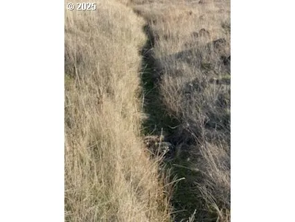 Creek