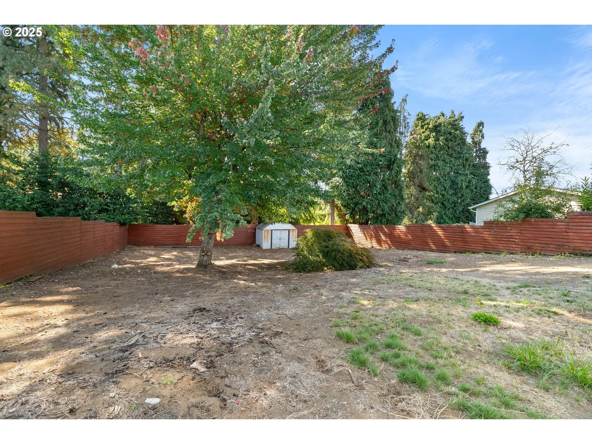 Backyard-Fenced