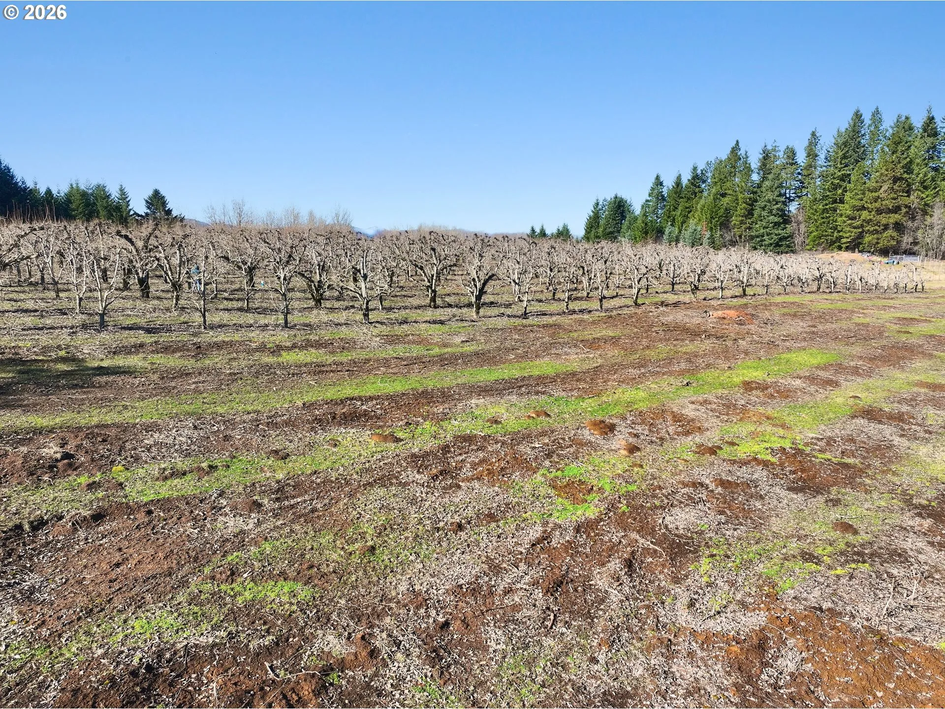 Acreage