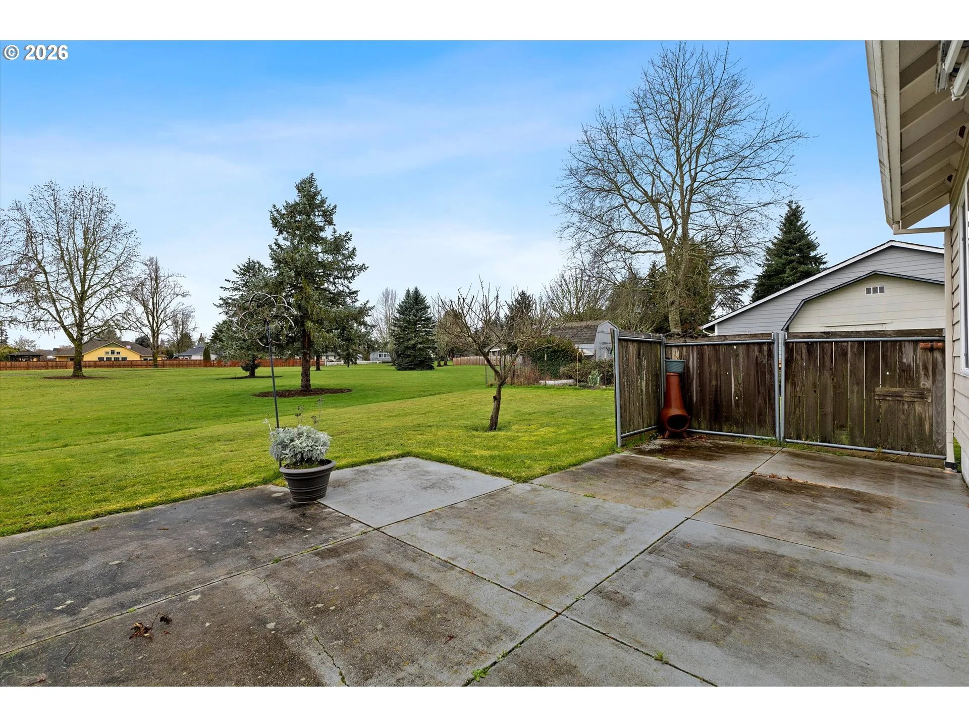 Backyard-View From