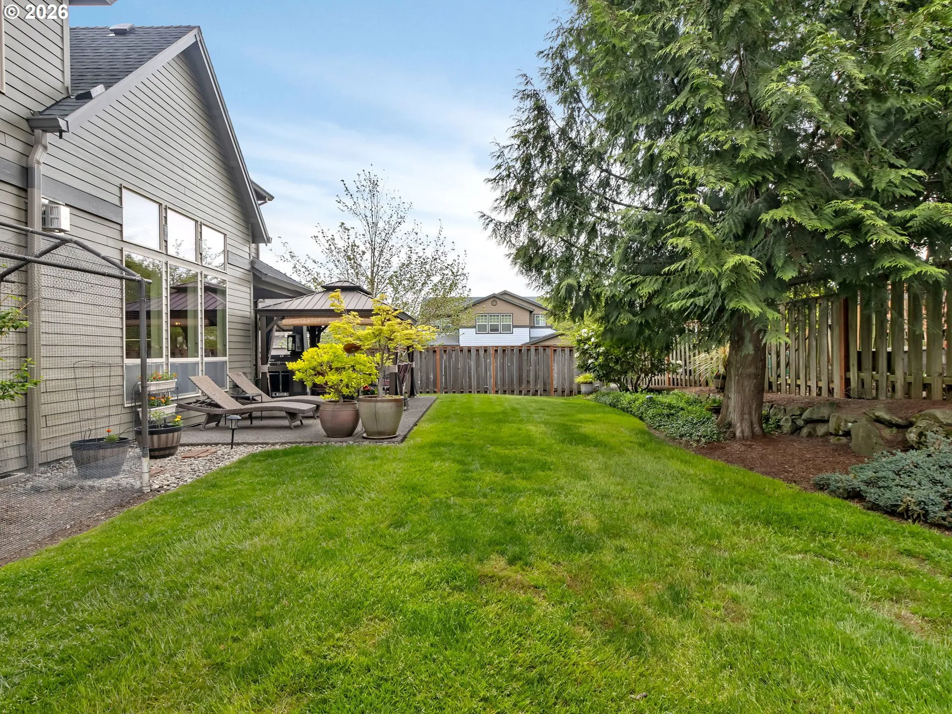 Backyard-View From
