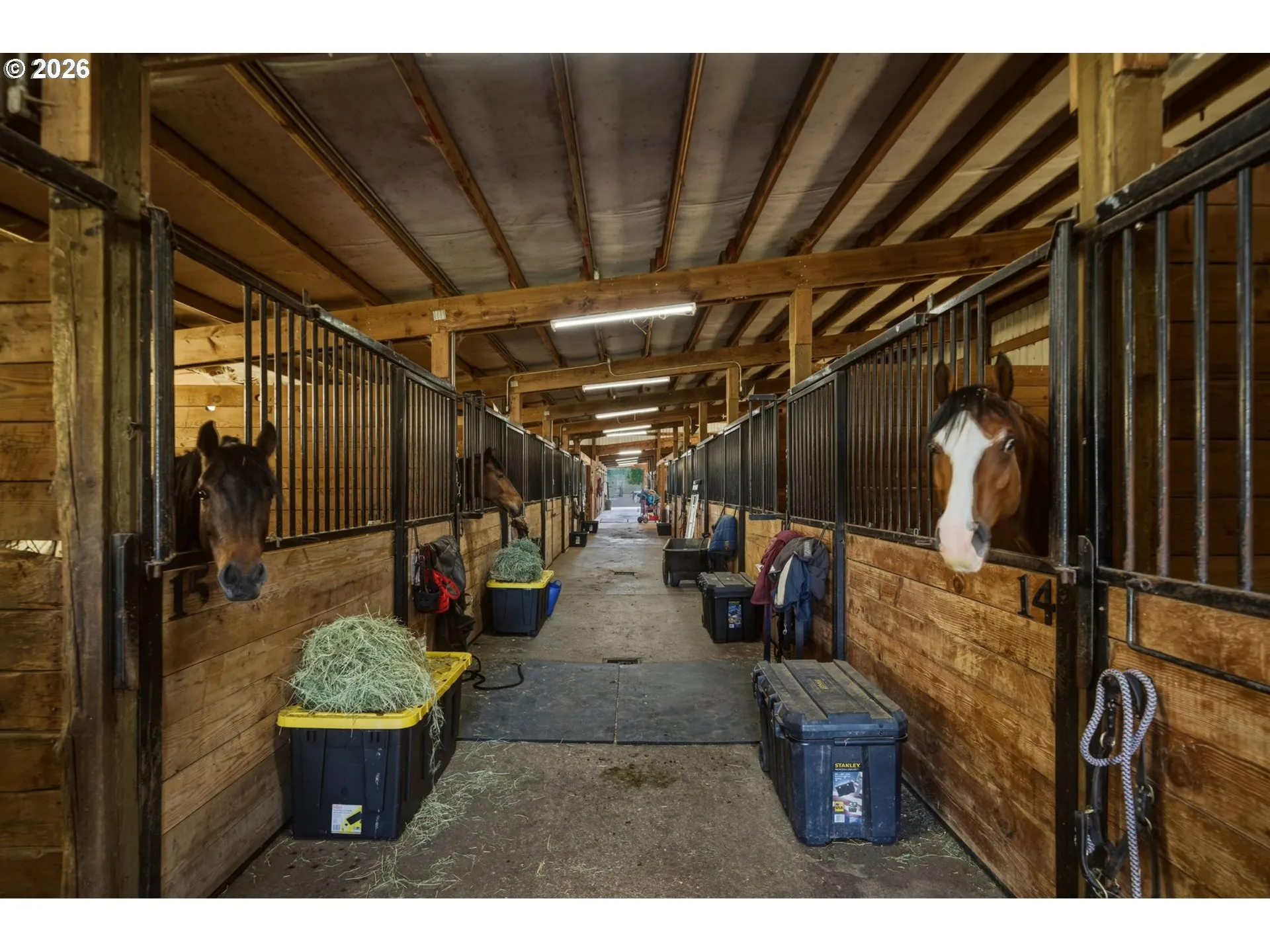 Stable