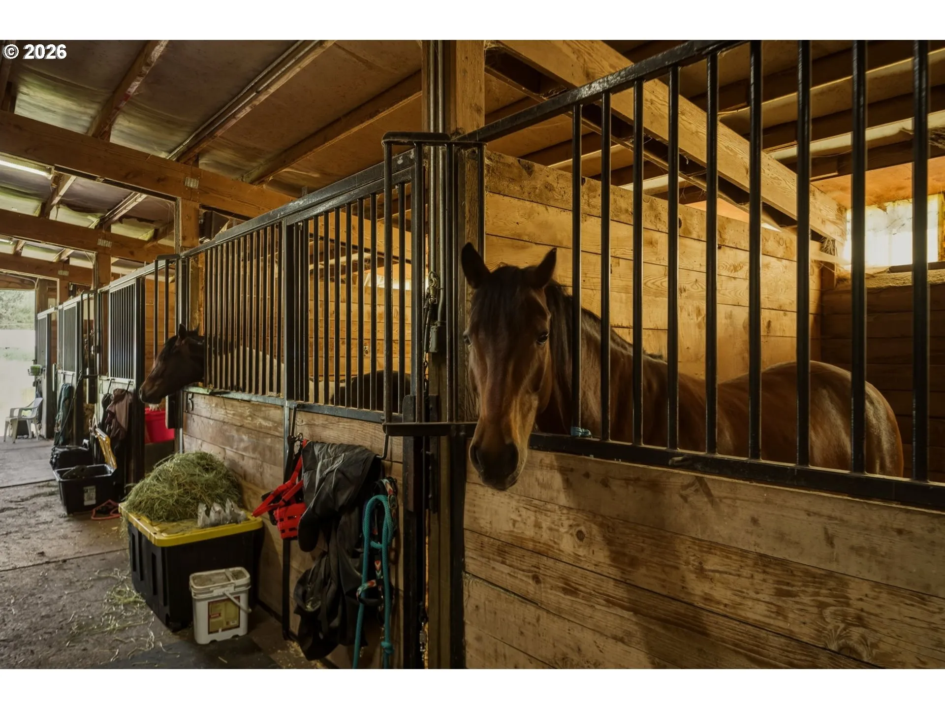 Stable-# 3