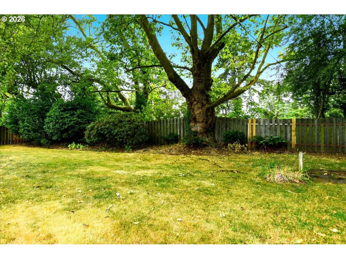 Backyard-Fenced