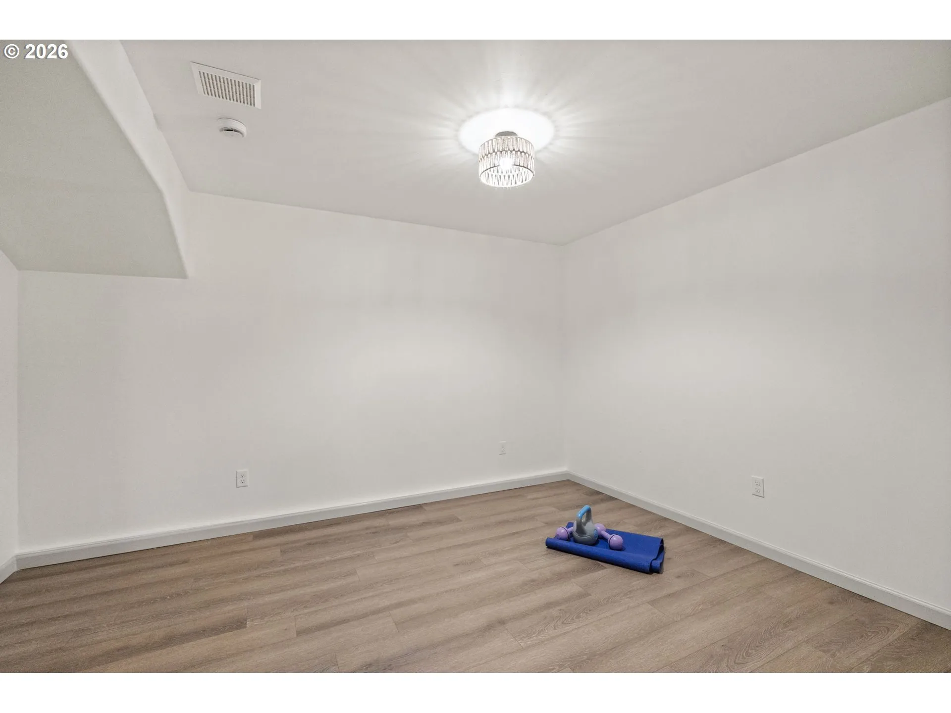Bonus Room-Lower