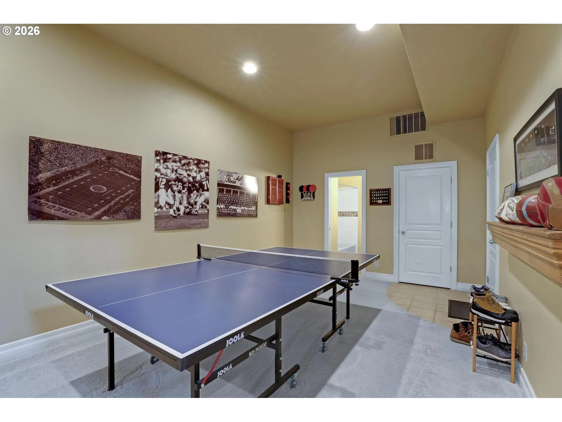 Bonus Room-Lower