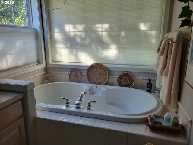 Owner's Suite Bathroom-Garden Tub