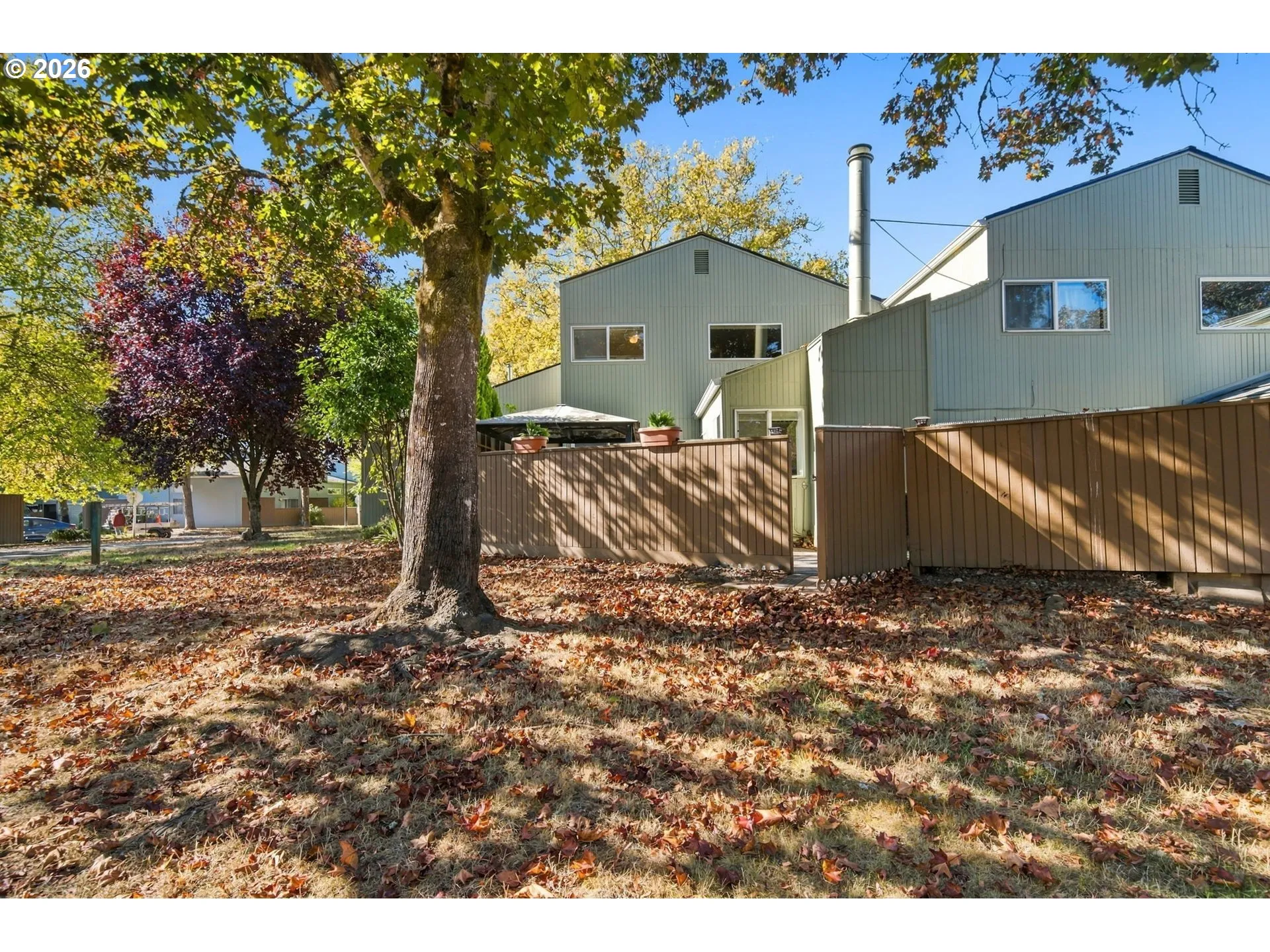 Backyard-View From