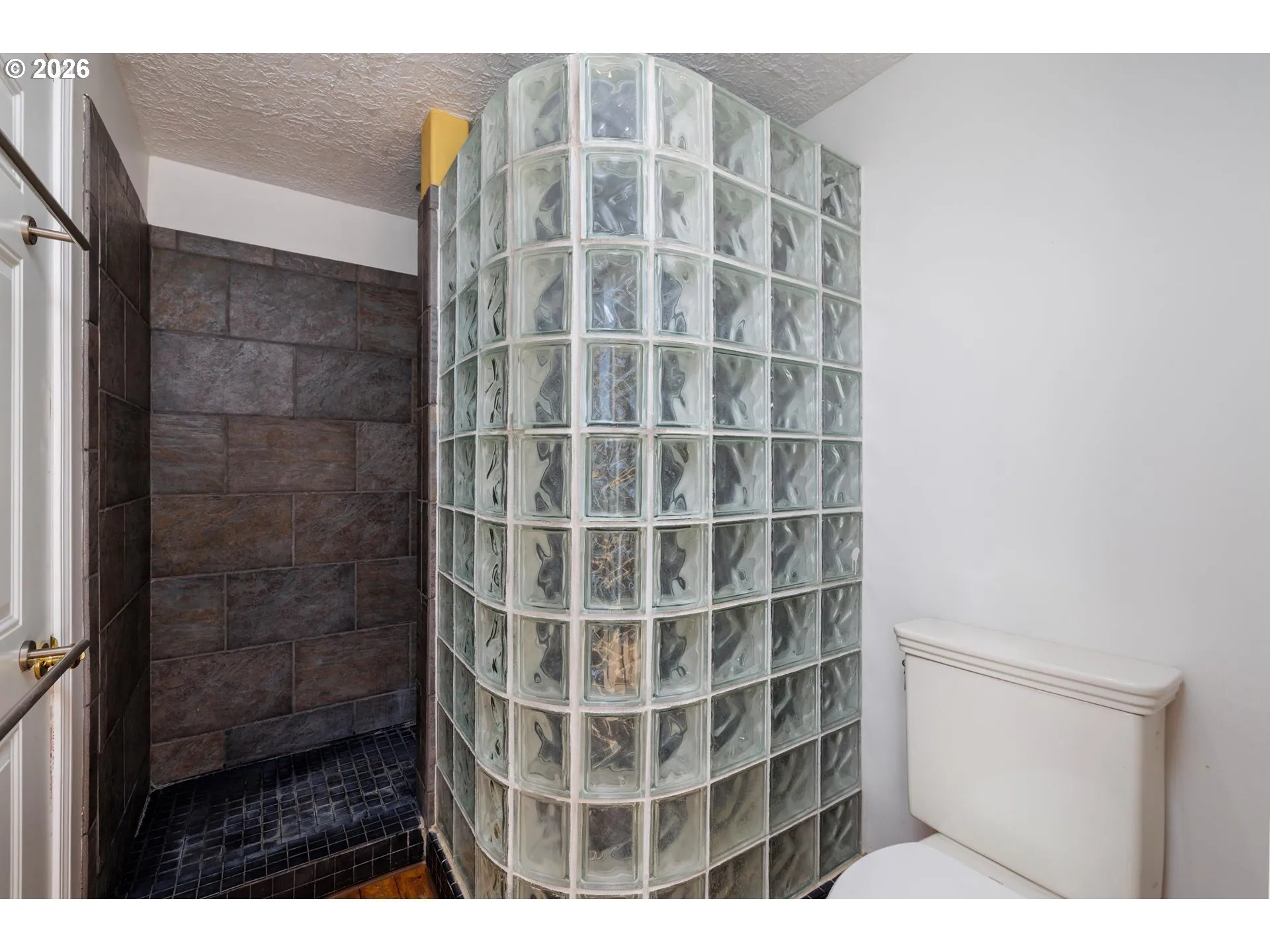 Owner's Suite Bathroom-Walk in Shower