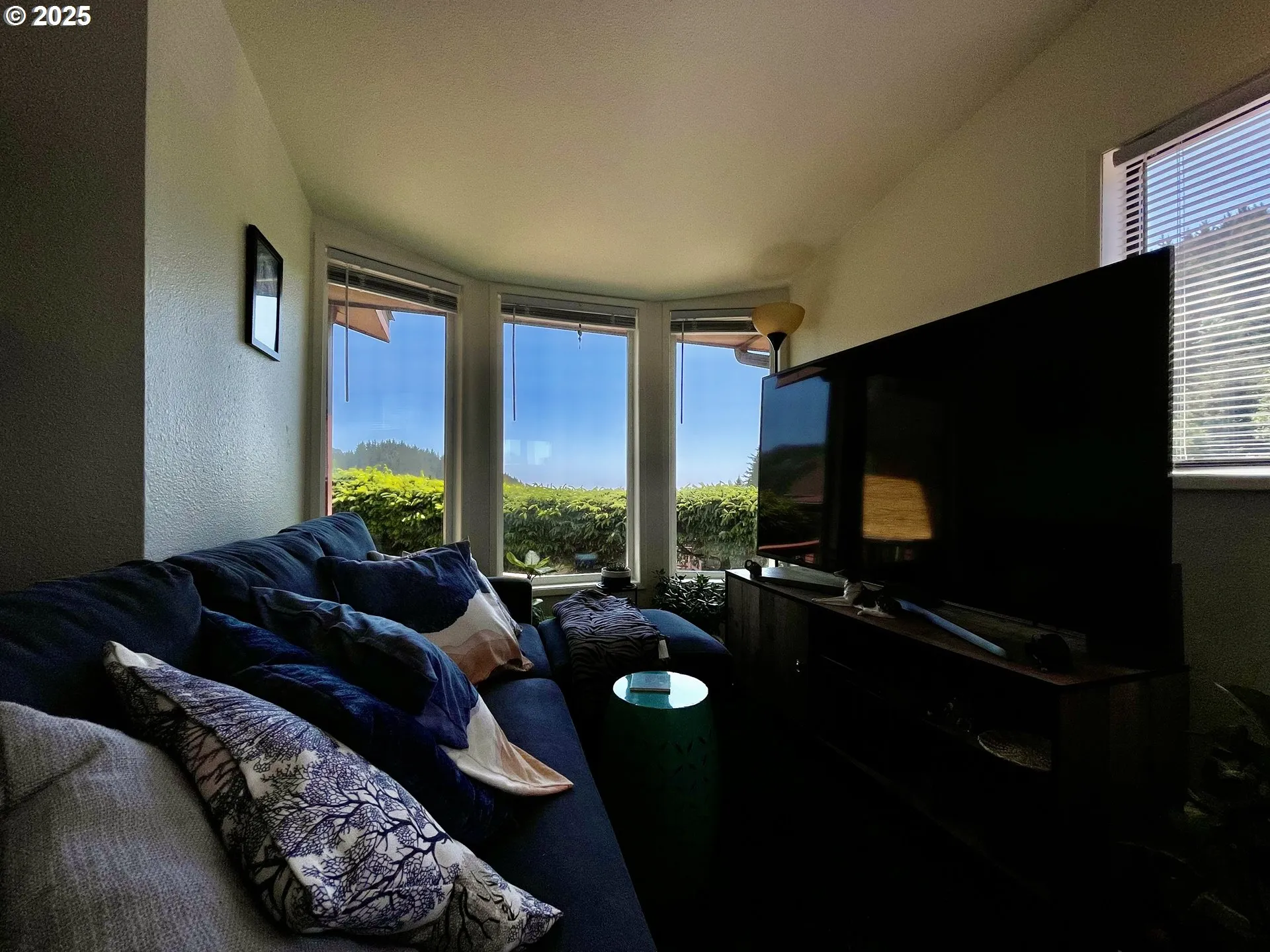 Living Room-View From