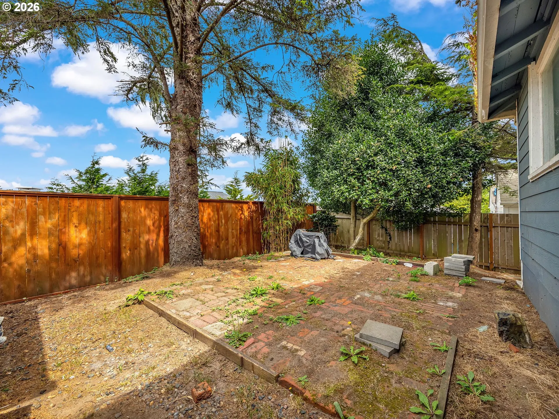 Backyard