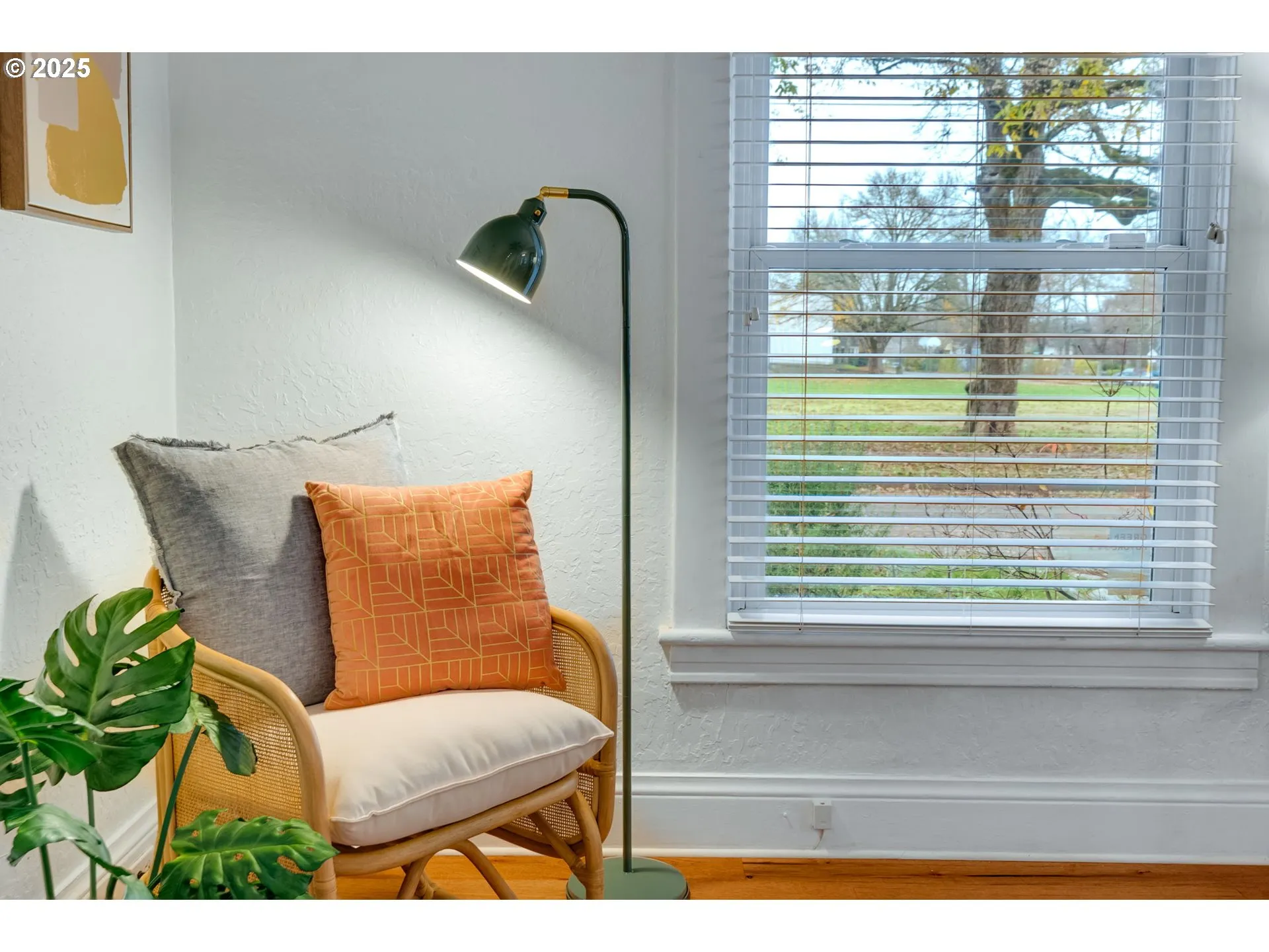 Living Room-View From