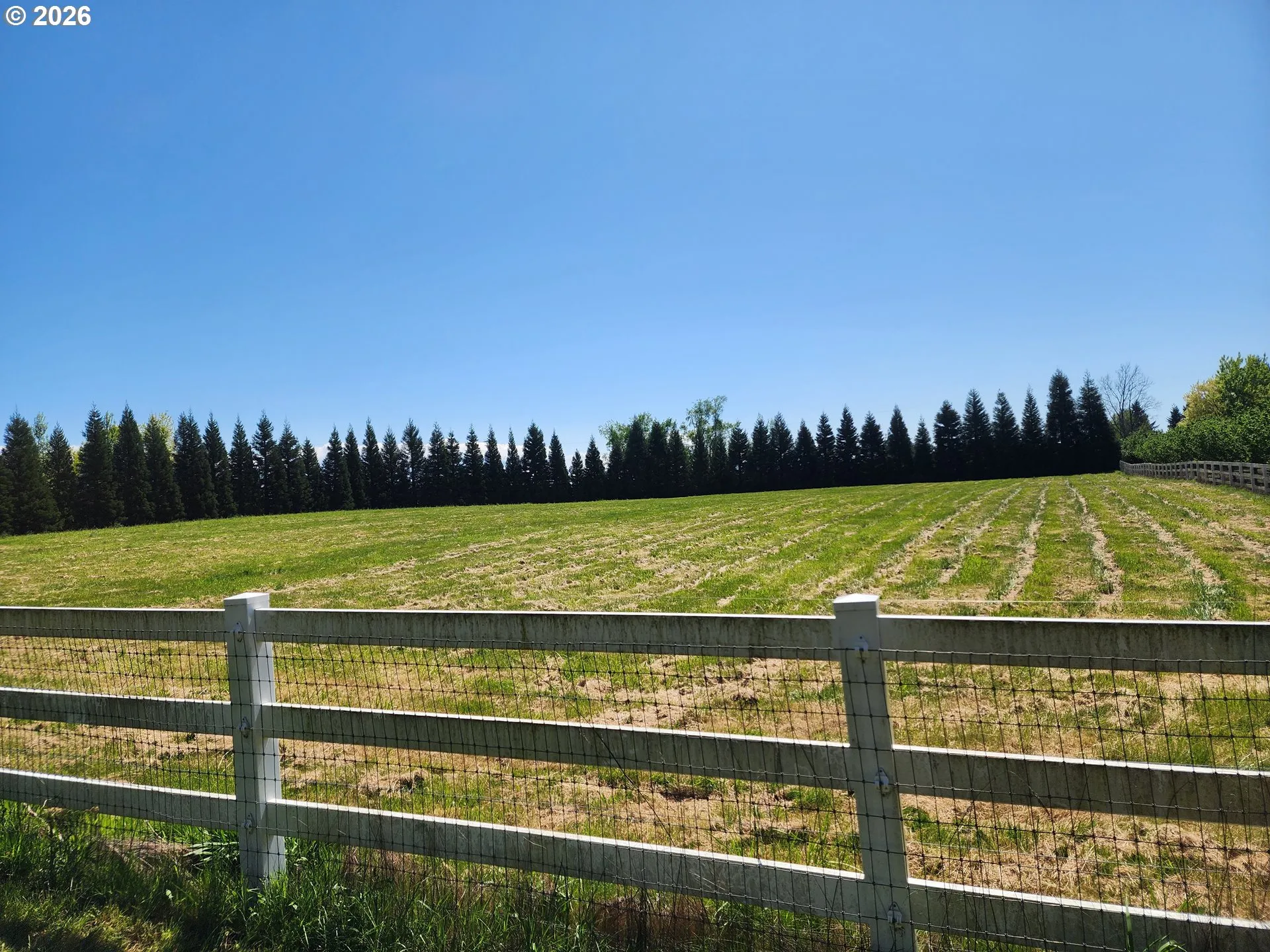 Pasture