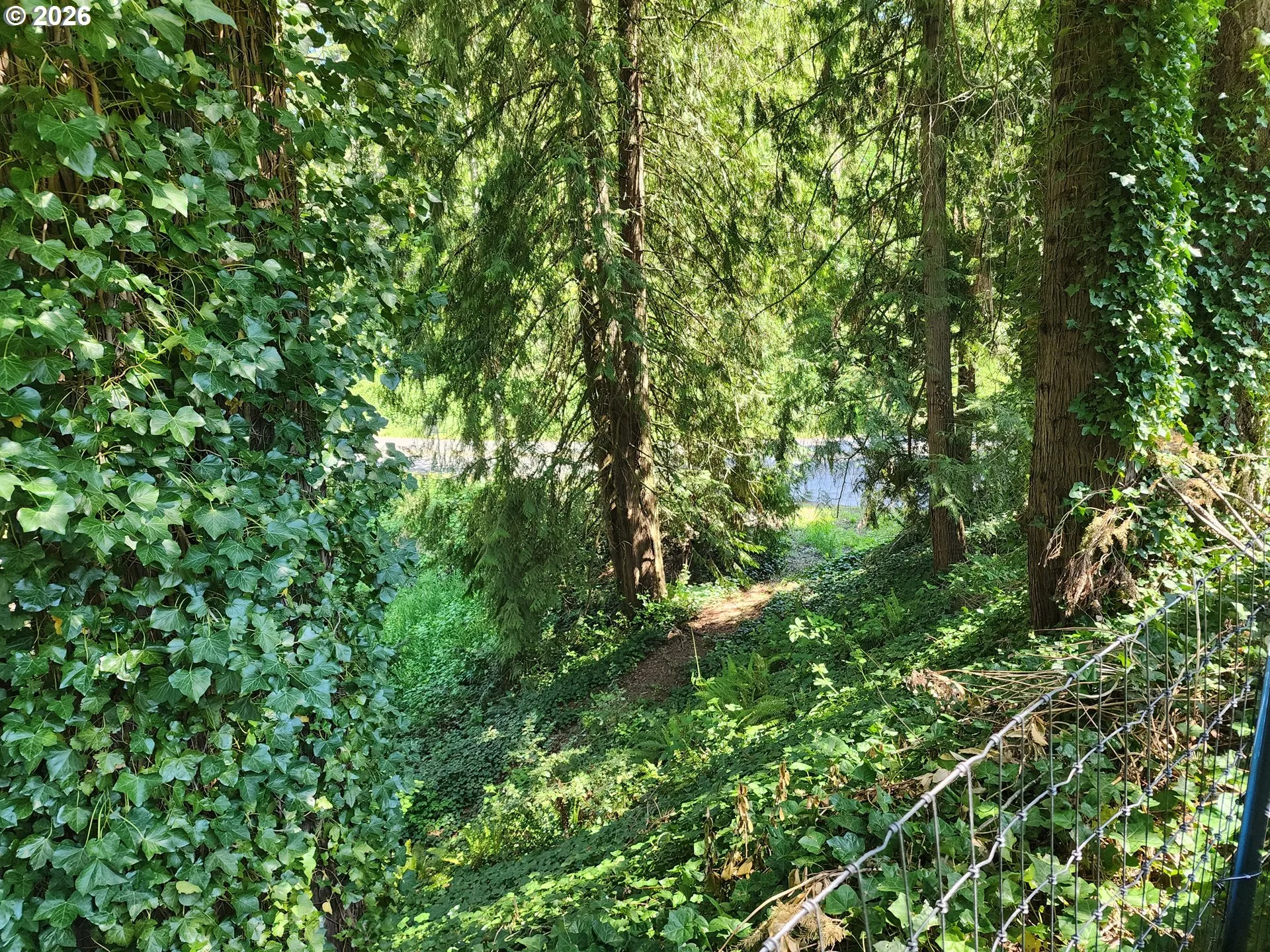 Creek