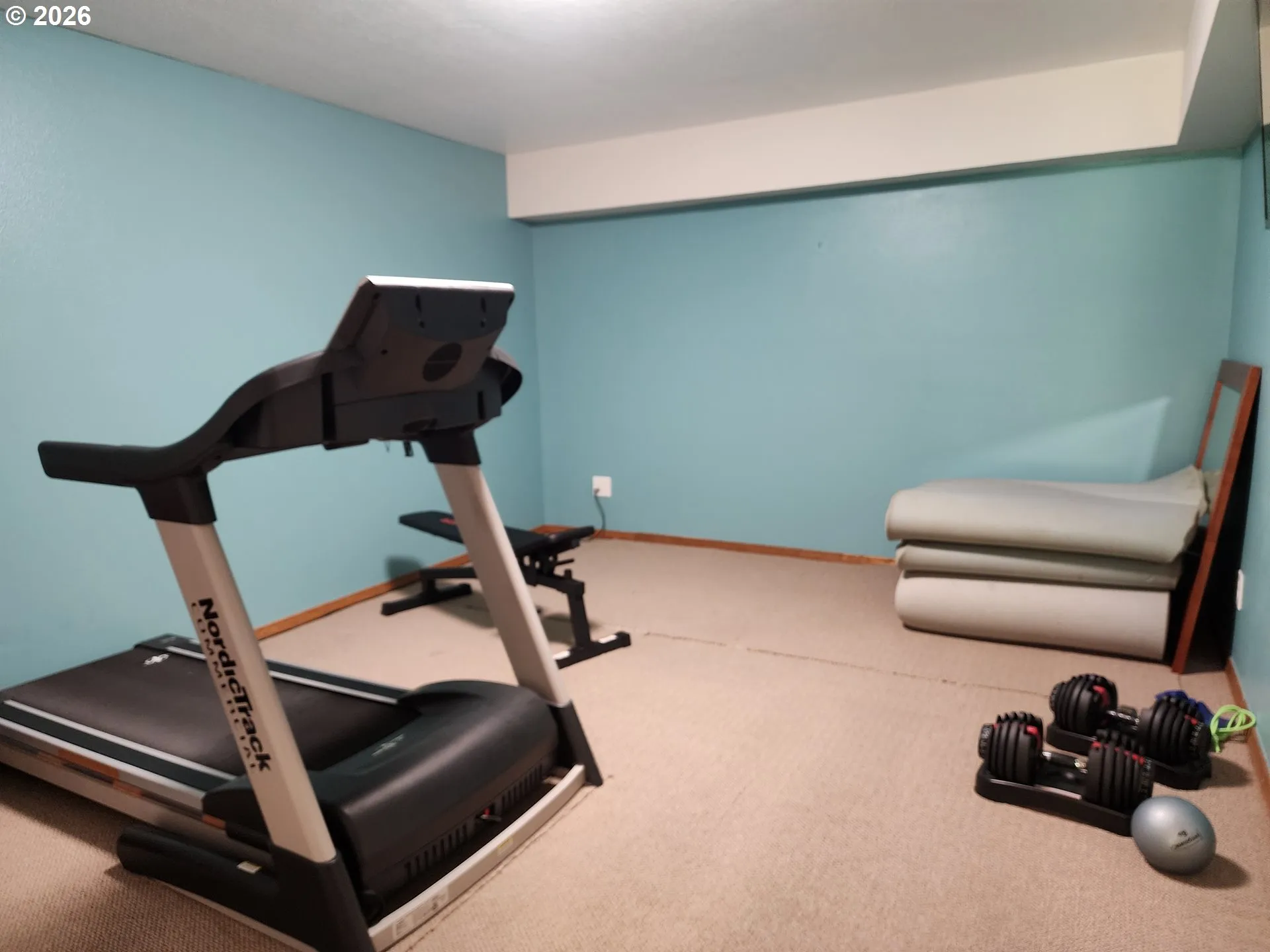 Bonus Room-Lower