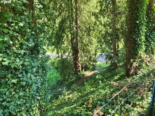 Creek