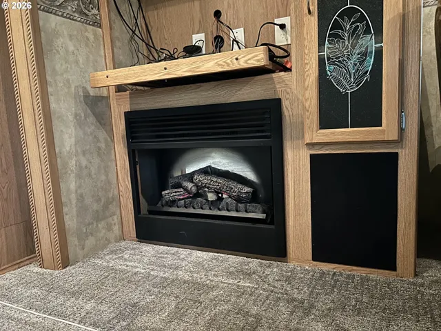Fireplace Gas Burning Stove/Insert