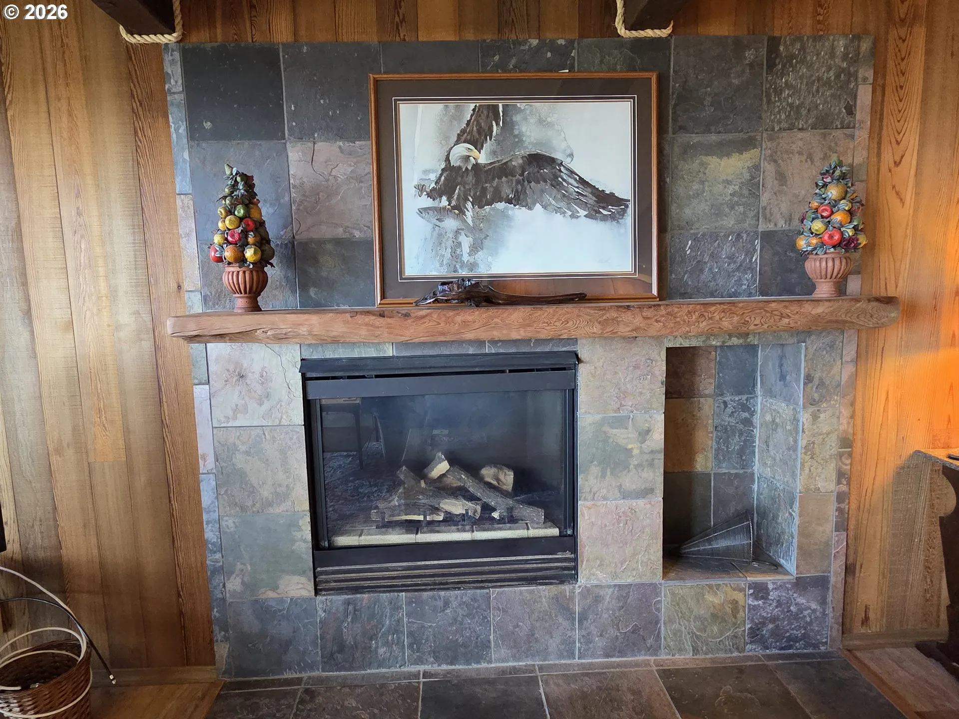 Fireplace Gas